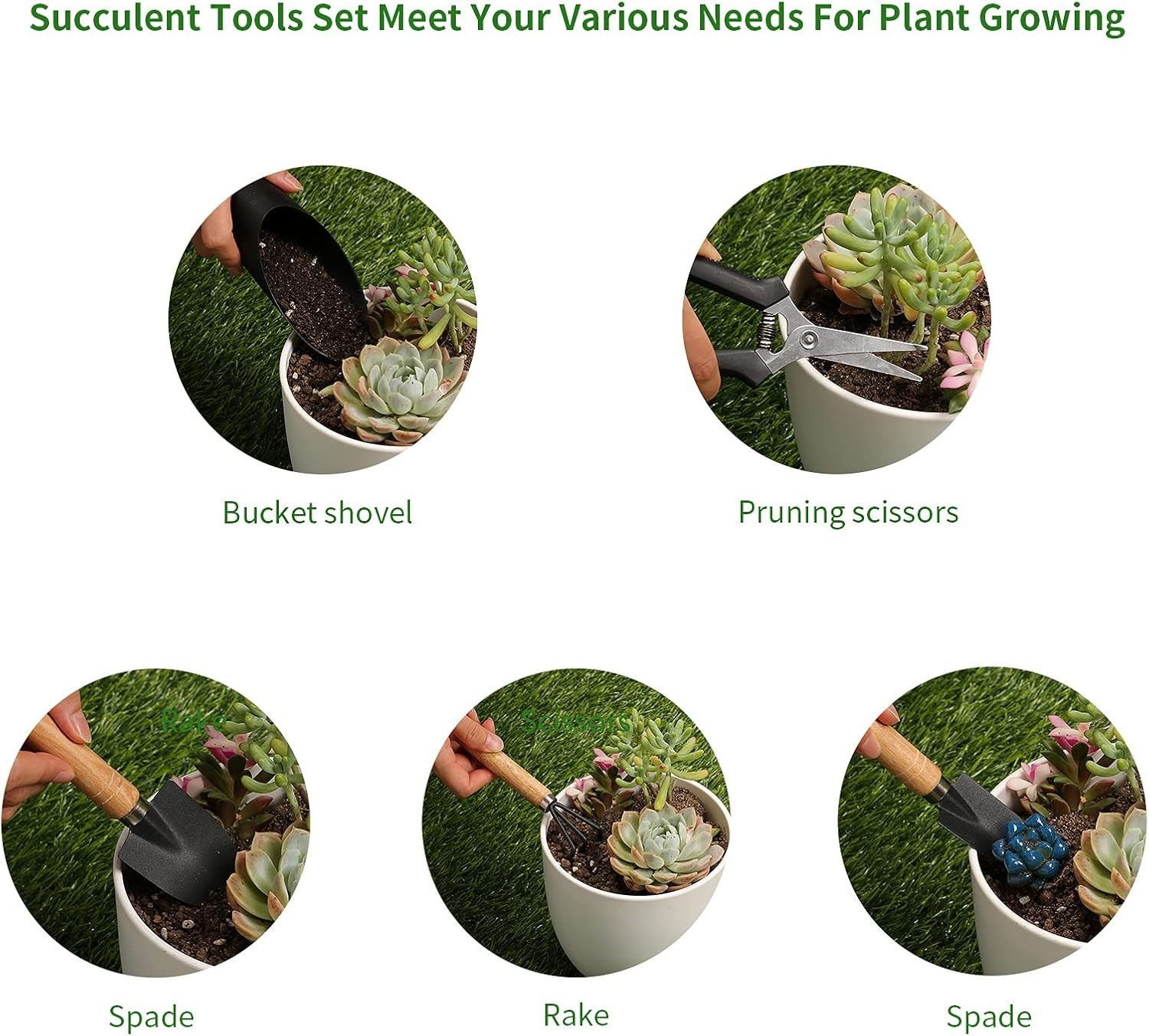 Complete Mini Gardening Set – 5 Tools for Succulents, Houseplants, and Bonsais