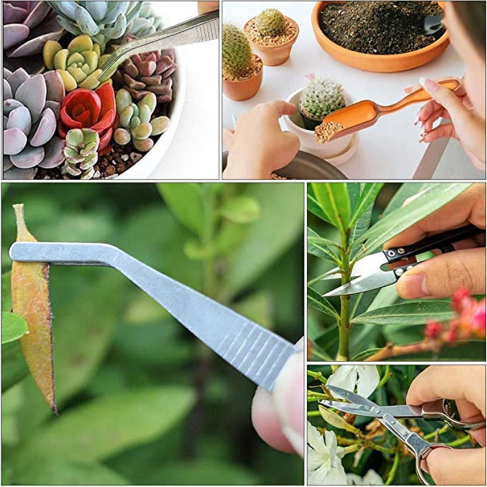 12 Pcs Succulent Tools Set Mini Transplanting Garden Tools Kit for Indoor Garden