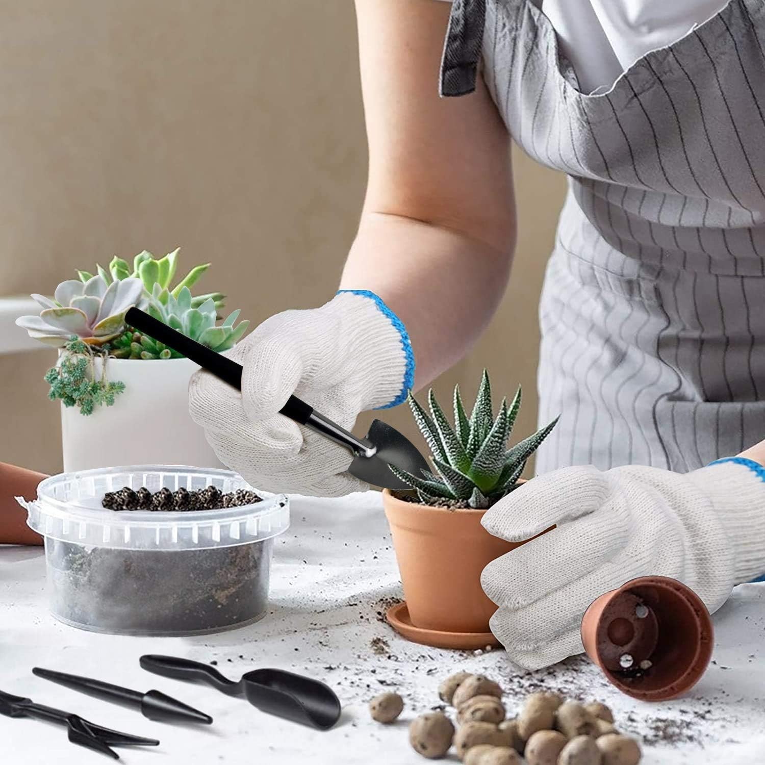 13-Piece Succulent Tools Set, Stainless Steel Gardening Tools for Indoor Plants