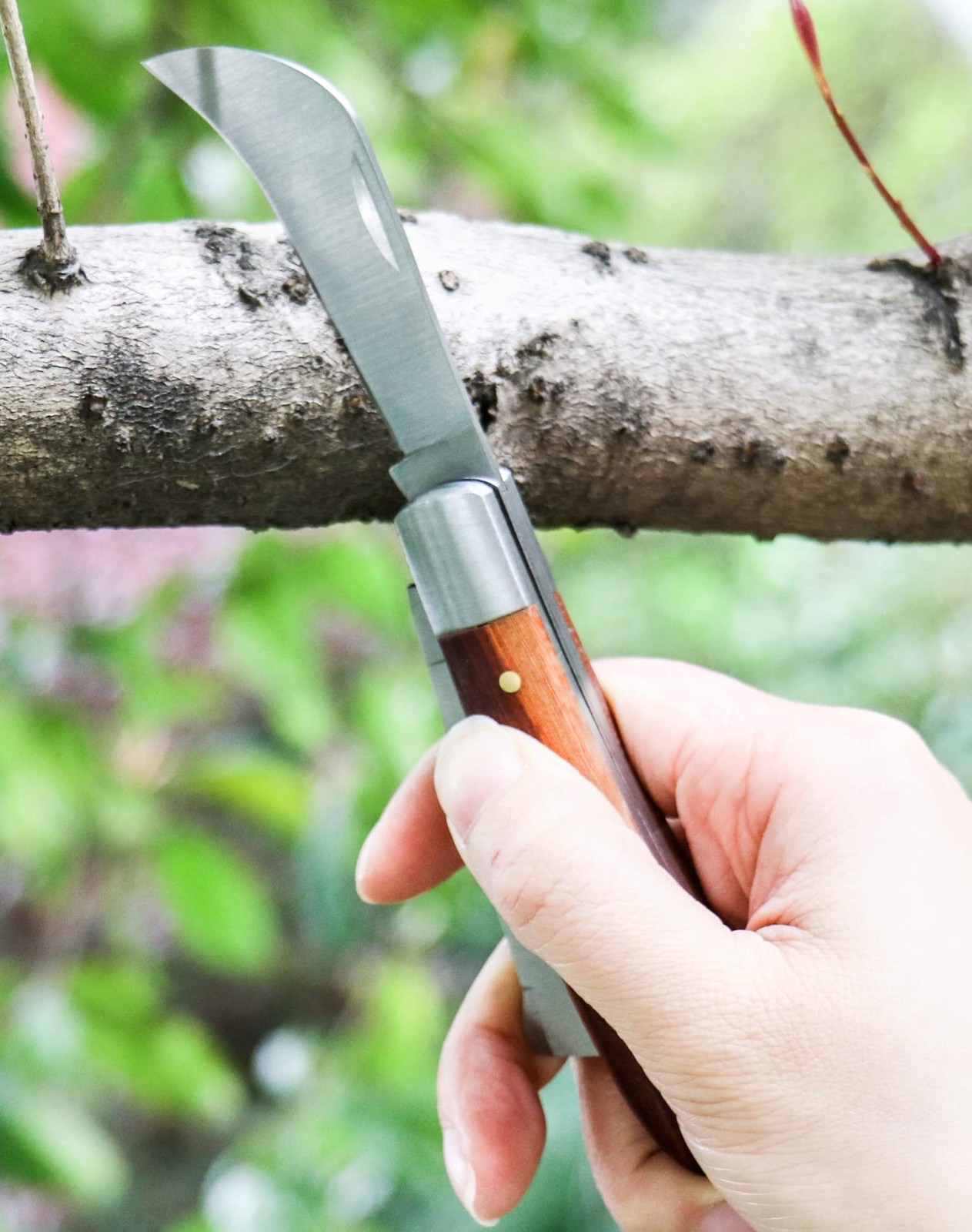 Gardening Grafting Cutter, Manual Grafting/Pruning Cutter, Plant/Fruit Tree B…