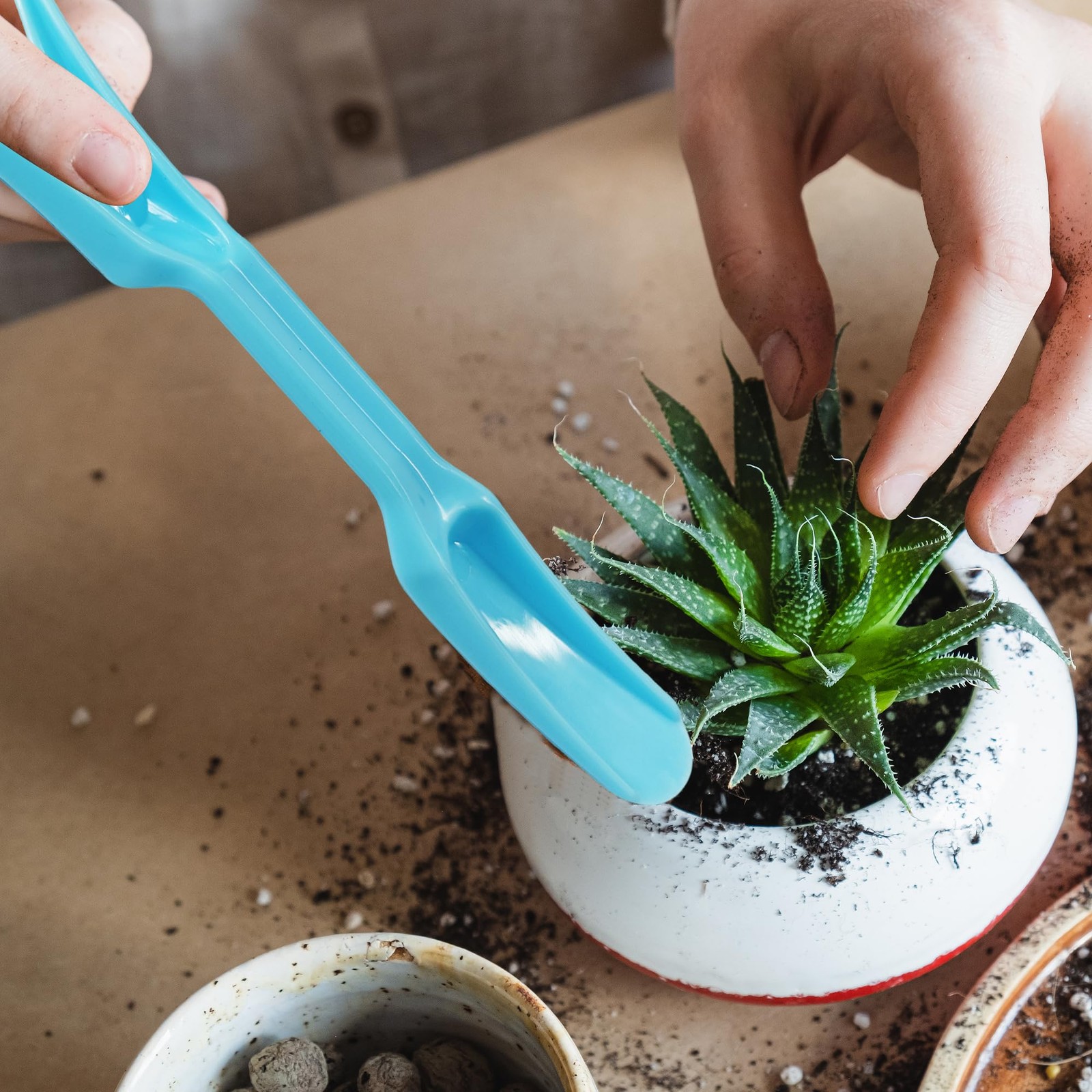 bociloy 6PCS Mini Garden Hand Succulent Transplanting Tools Set, Plastic Blue