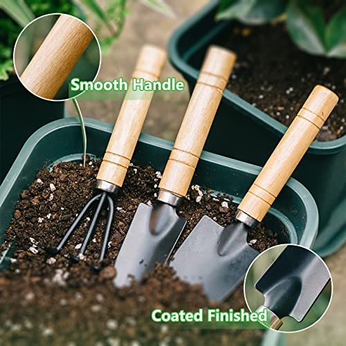 Small Garden Tool Set, 6 Pieces Iron Gardening Kit Including Hand Shovel,