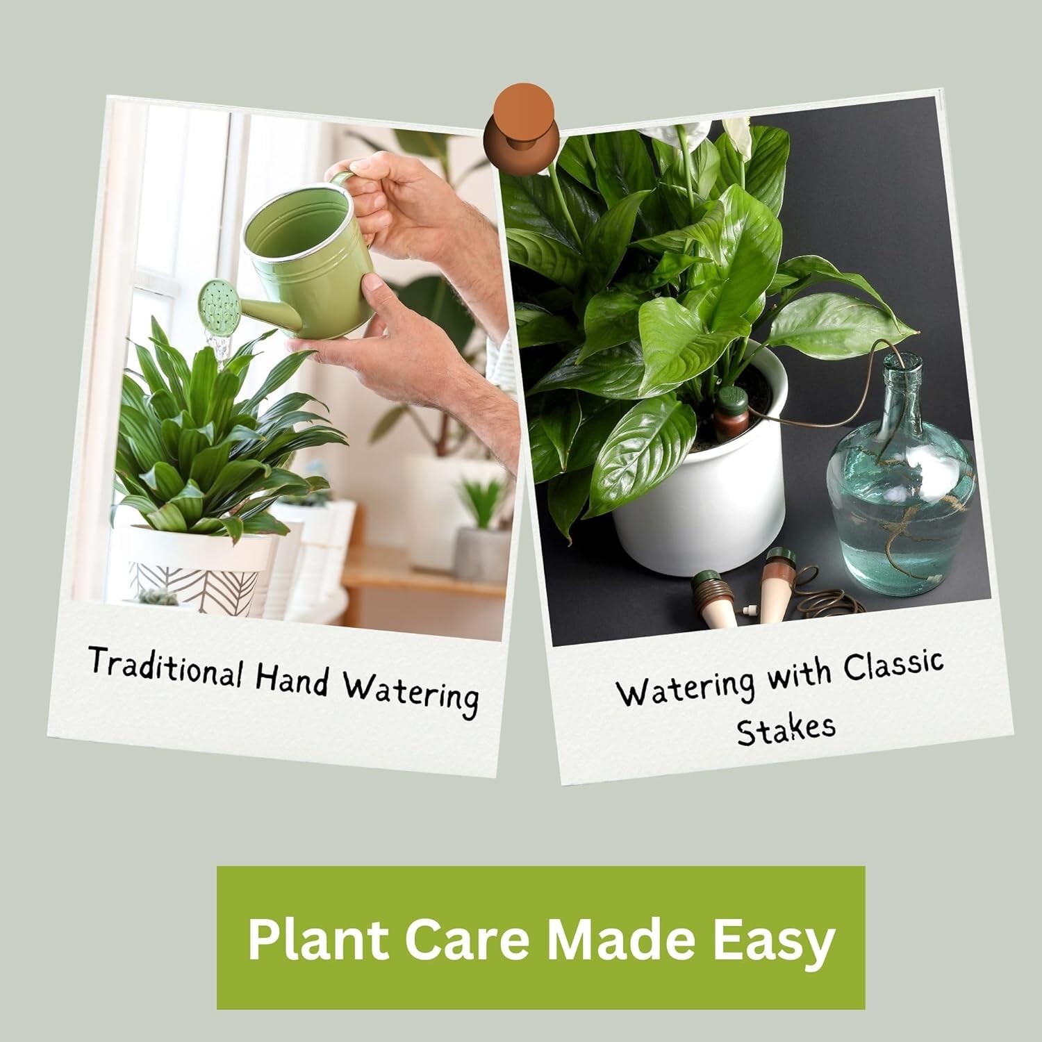 Blumat Classic Watering Plant Pack (6 Stakes) Automatic Drip Watering/Irrigation