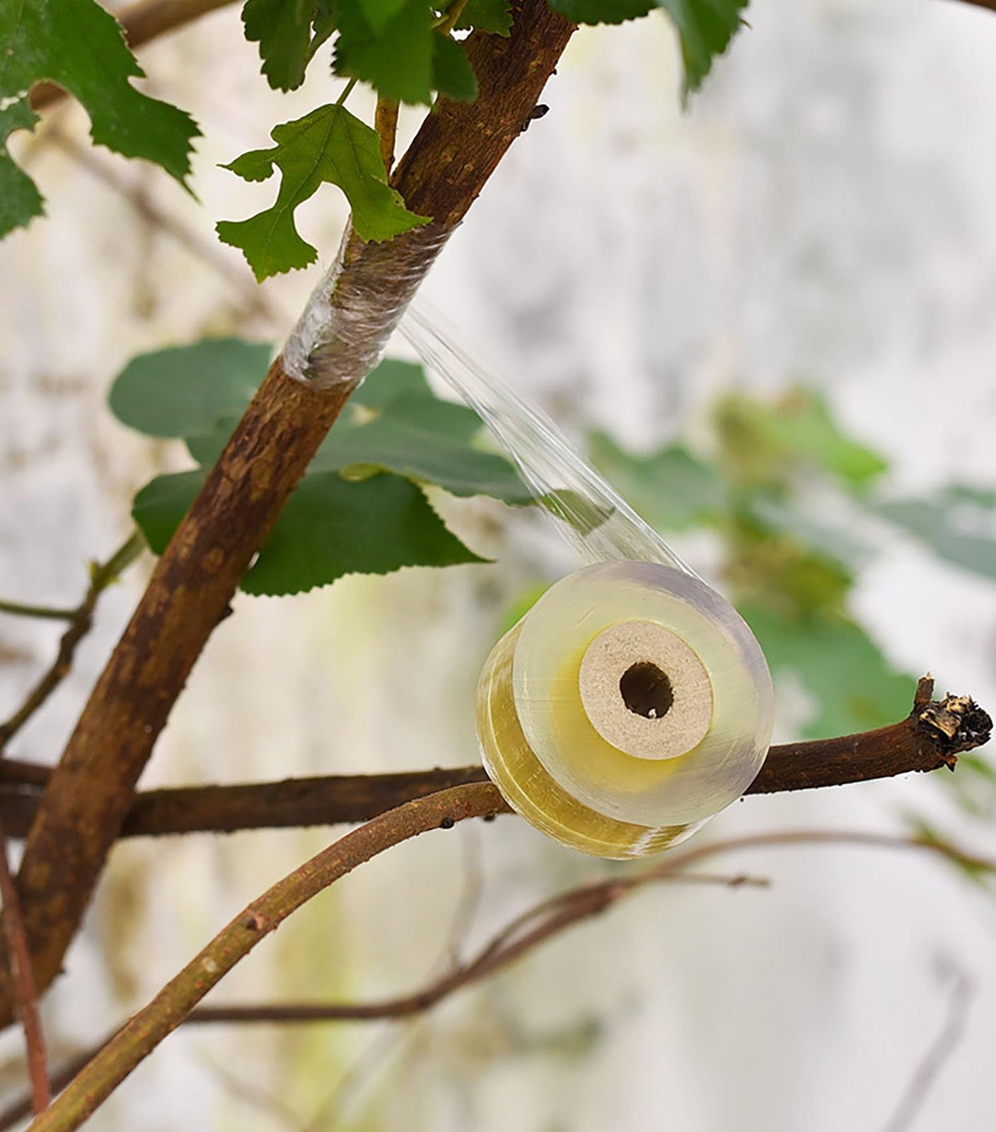 3 Pack Stretchable Tree Grafting Tape for Floral Fruit Trees Repair Tapes
