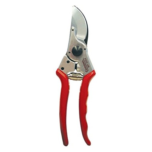 Corona 1 in. Bypass Pruner