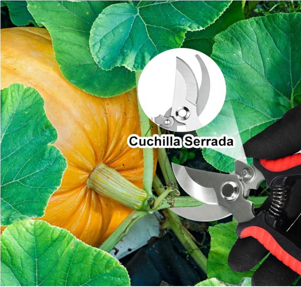 Tijeras de podar de jardín, paquete de 4, tijeras de poda, tijeras de poda