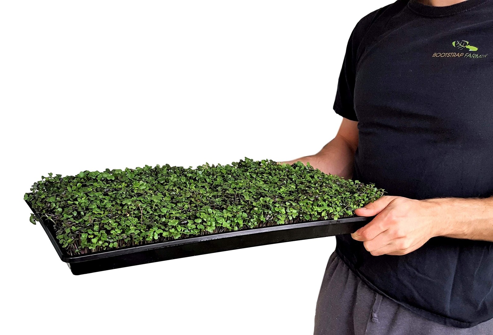 Bootstrap Farmer Microgreen Trays No Holes 10 Pack White Extra Strength Shallow