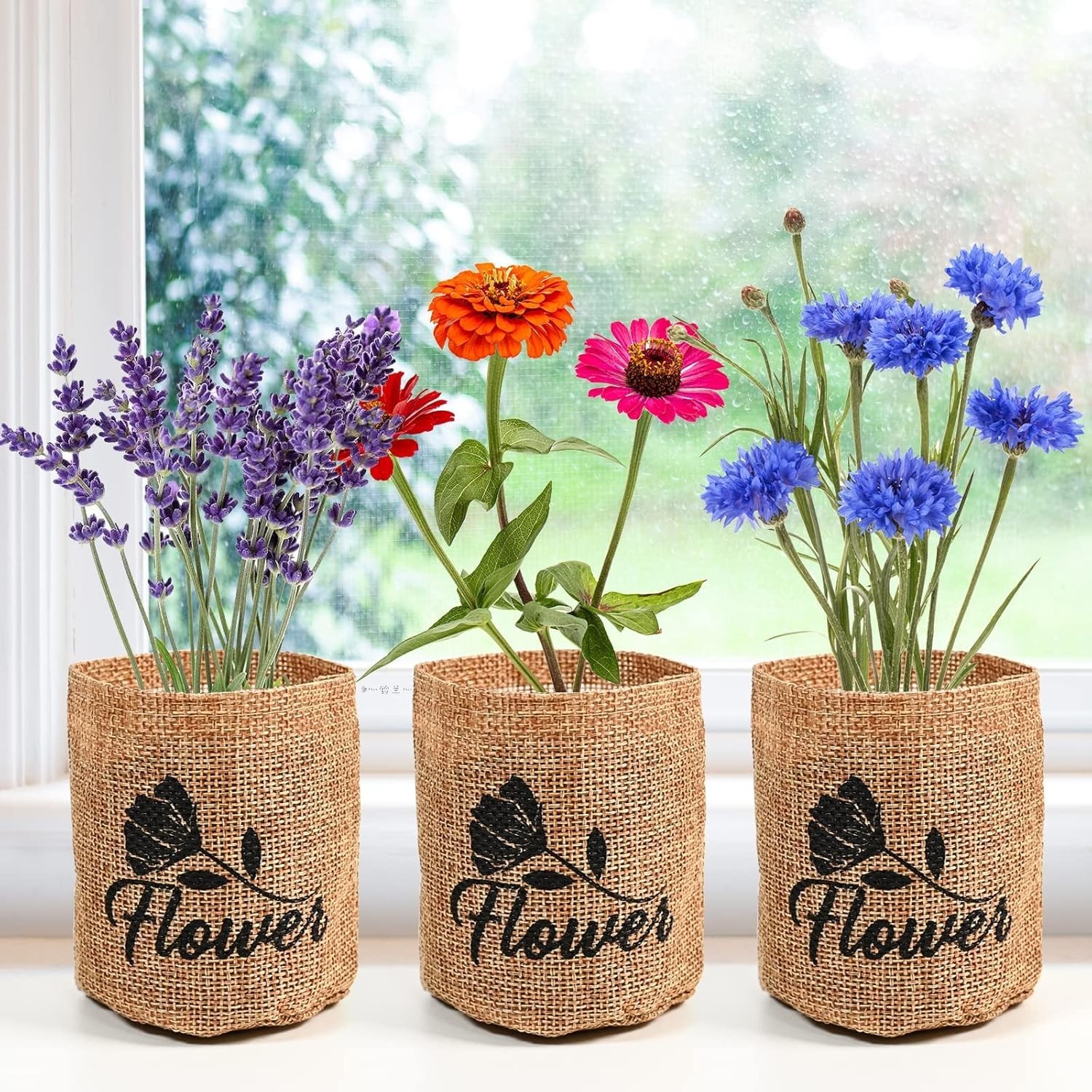 Indoor Daisy Garden Starter Kit for Home Gardening with Tools and Seeds