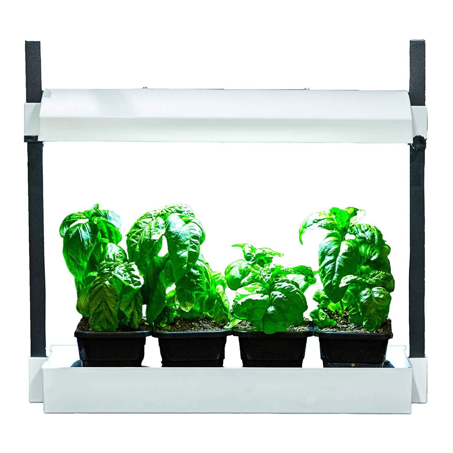 Sunblaster Sl1600219 Led Indoor Micro Growlight Garden Homegrowing Kit White