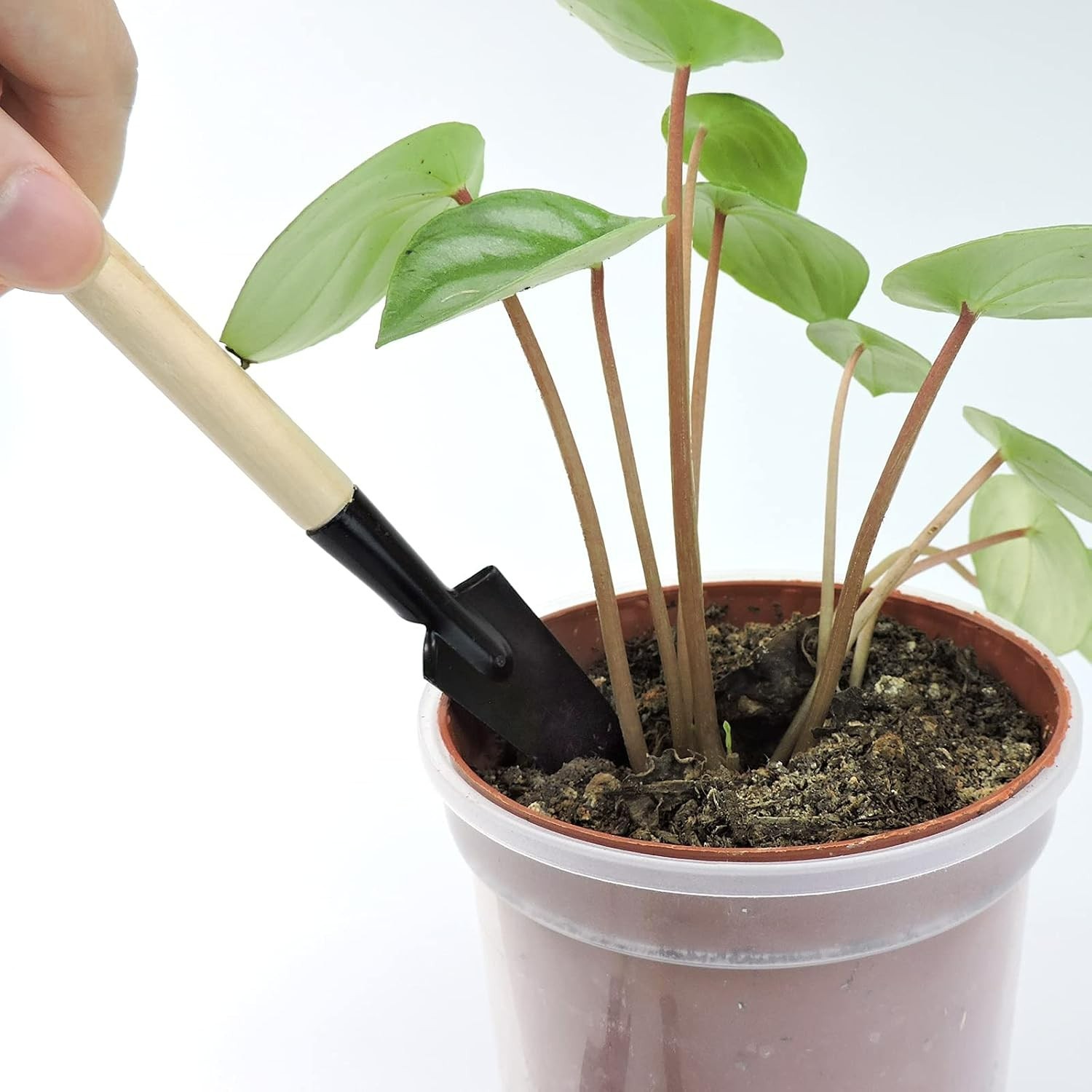 Essential 3-Piece Mini Gardening Tool Kit – Perfect for Succulents & Herbs