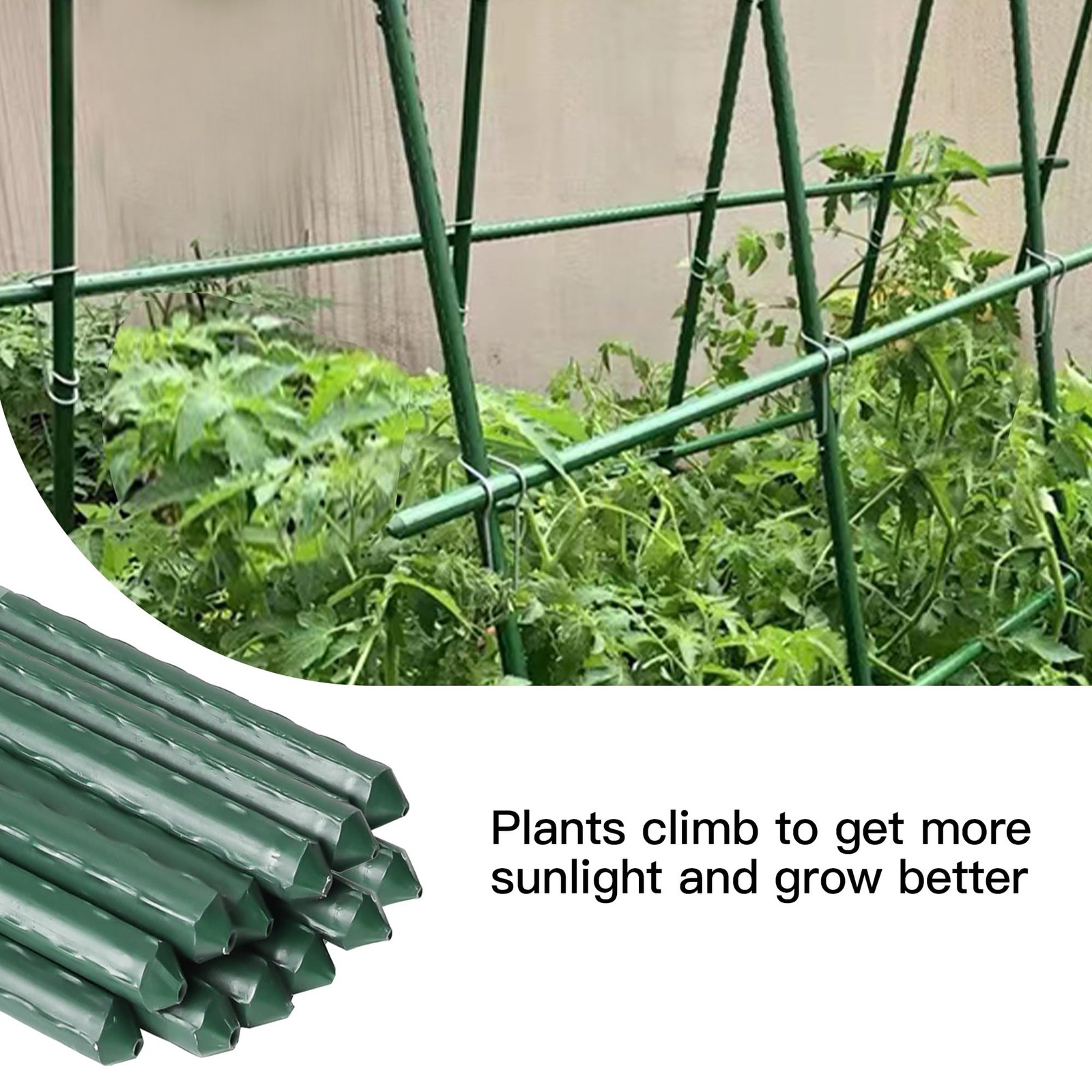 Garden Stakes 6ft, 6Feet Metal Plant Stakes 25 Pack for Gardening and Farm, 7…