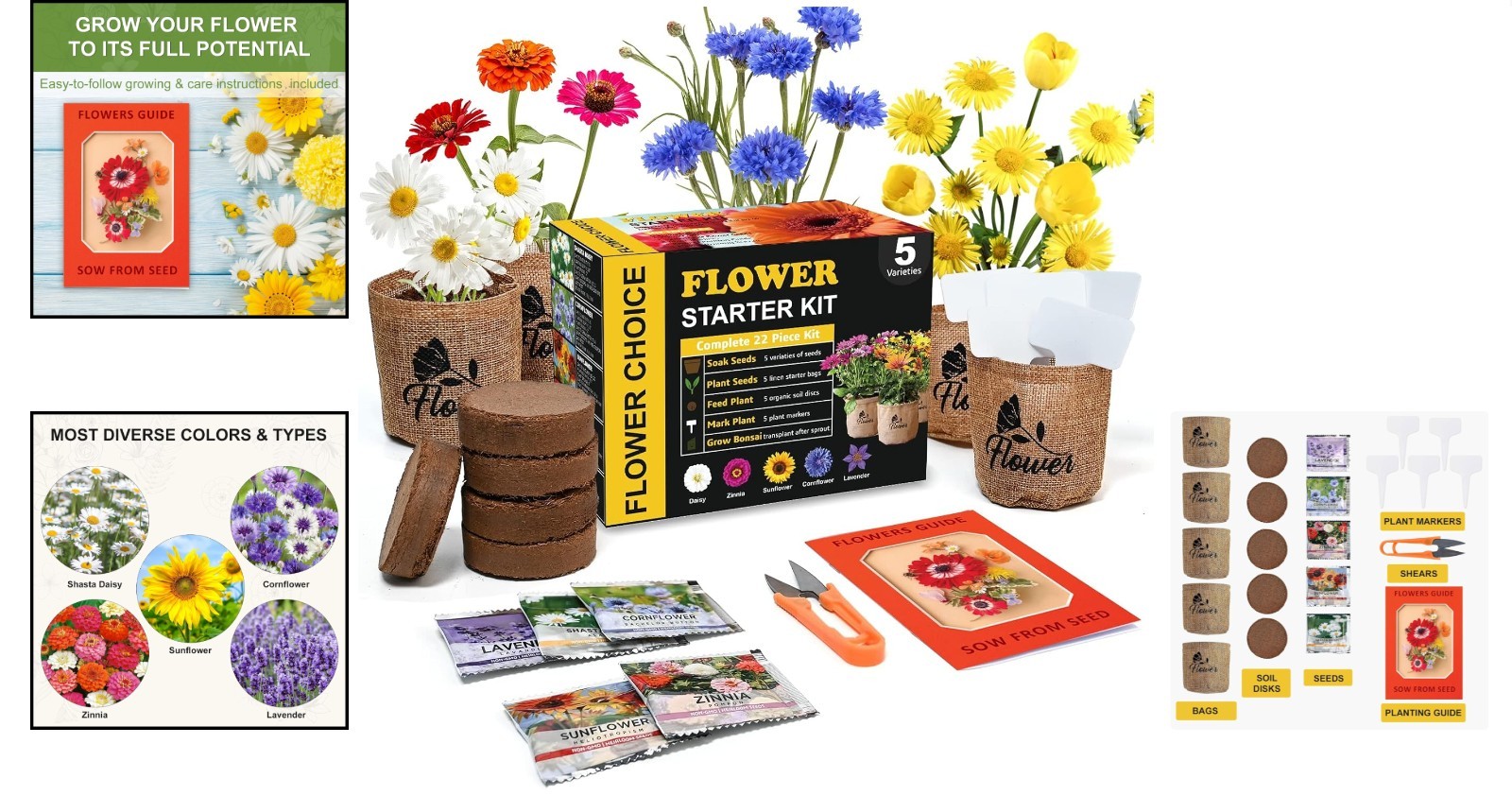 Indoor Daisy Garden Starter Kit for Home Gardening with Tools and Seeds