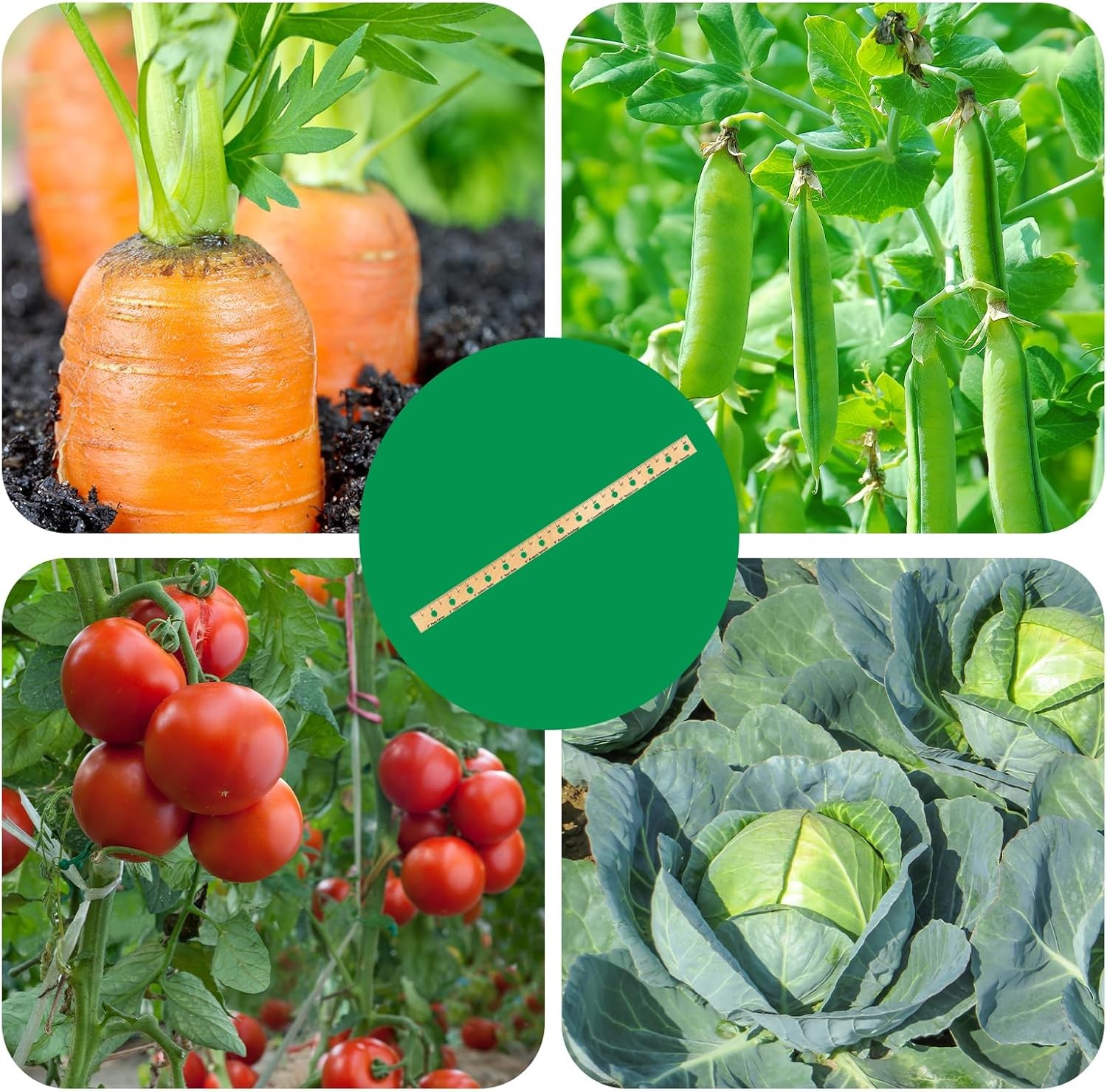 Foldable Plant Ruler Spacer Tool Seeder – Precise Planting for Vegetable