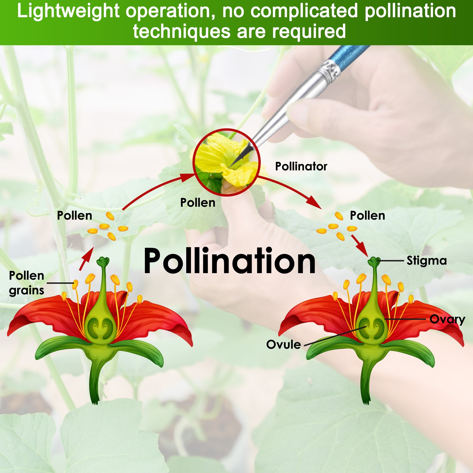 10-Pack Pollinator Brush, 0.24inch/0.6cm Wooden Vegetable Pollinator Pen [Blue]