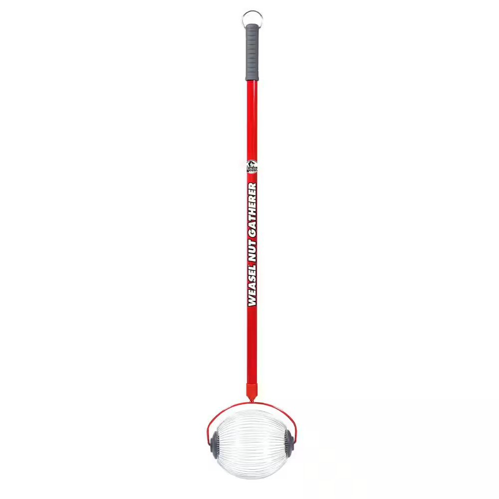 48 in. Weasel Medium Nut Gatherer with Smooth Rolling Cage