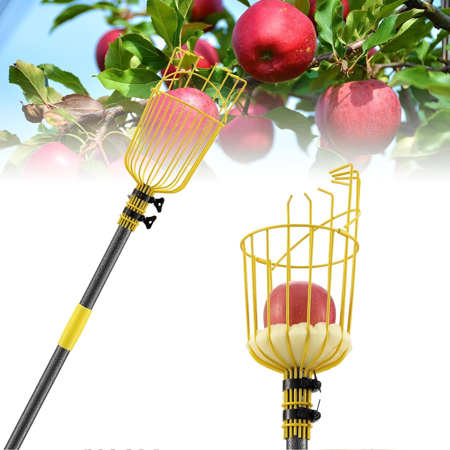 96″ Long handle Fruit orange apple etc picker grabber Catcher tool w/Big Basket