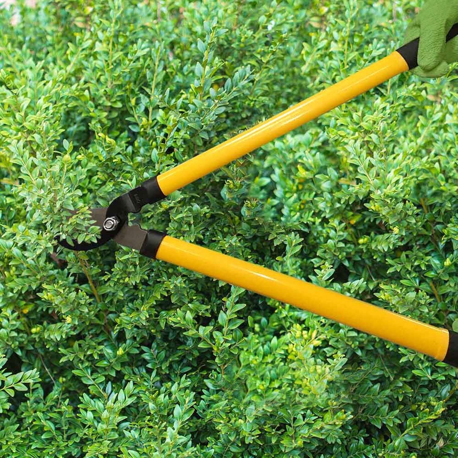 Precision Gardening Set: Lopper, Hedge Shears & Pruner – Effortless Cutting