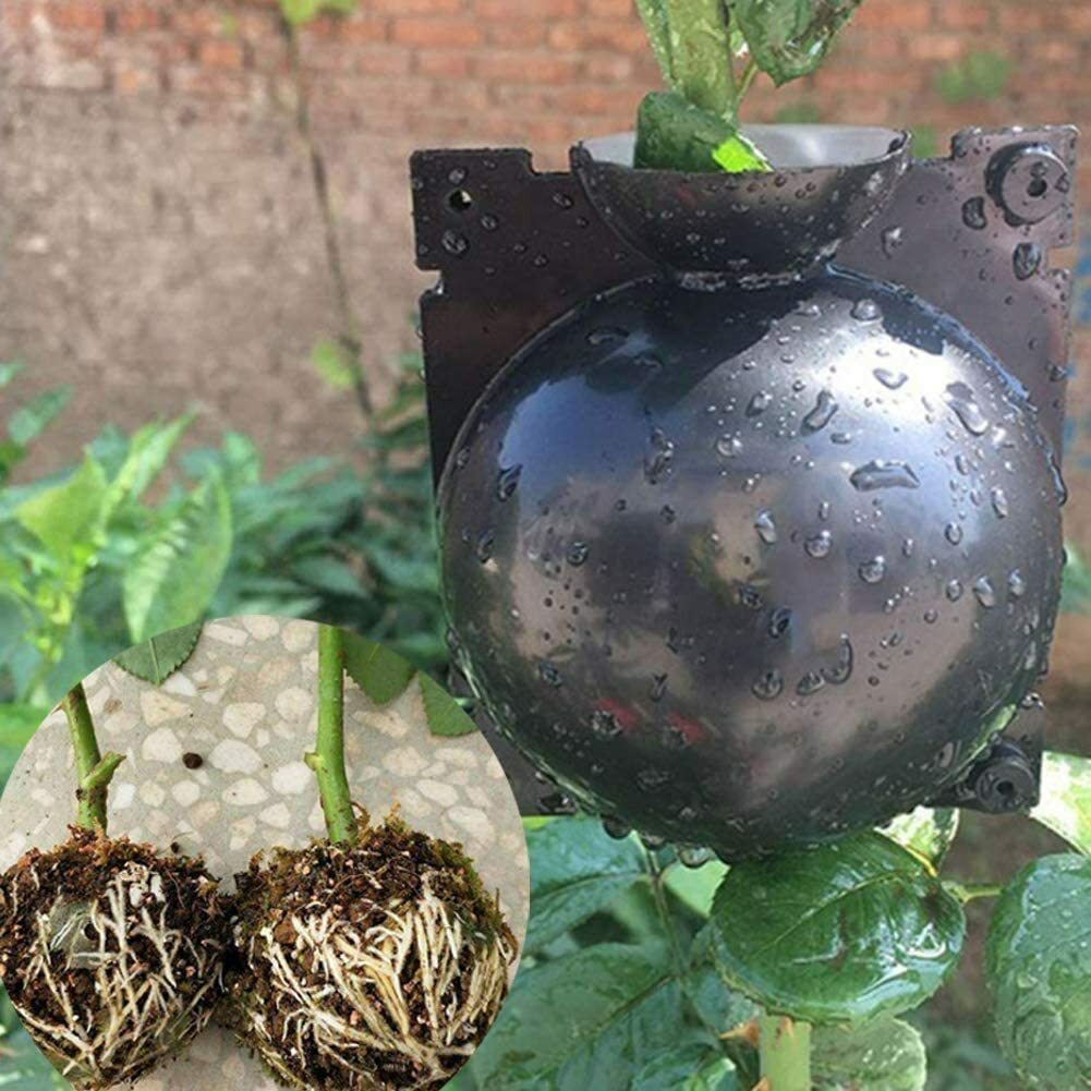10Pcs Plants Rooting Propagation Graft Ball Reusable Tree Root Growing Box
