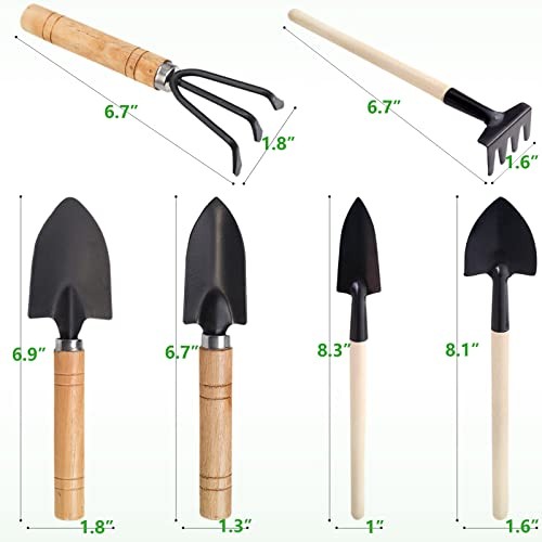 Small Garden Tool Set, 6 Pieces Iron Gardening Kit Including Hand Shovel,