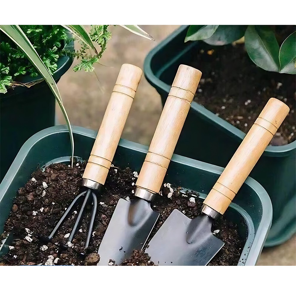 3PCS Mini Garden Tool Set Hand Trowel Transplanting Rake Succulent Planting Kit.