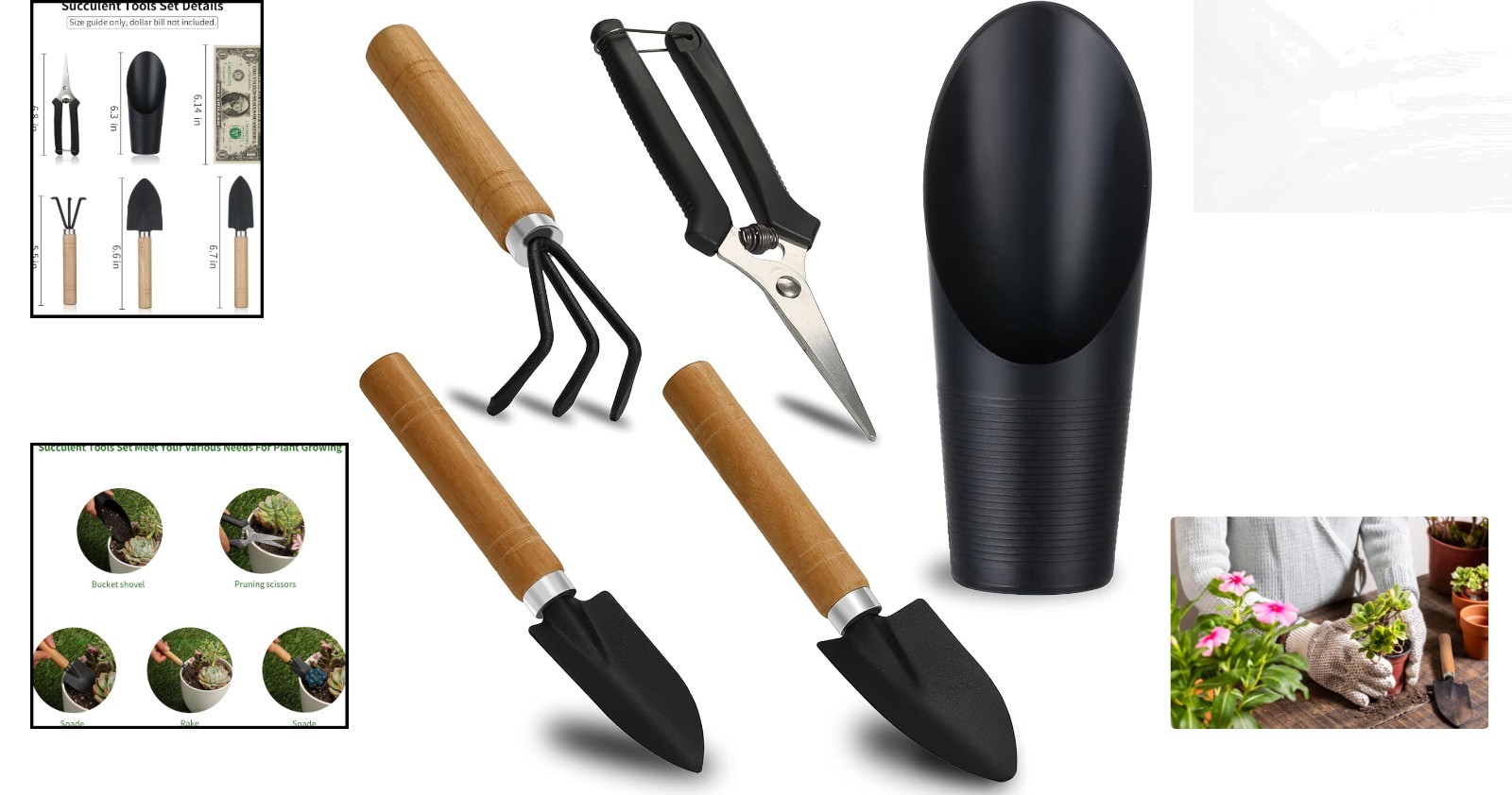 Complete Succulent Care Kit: 5 Lightweight Tools for Indoor and Office Gardening