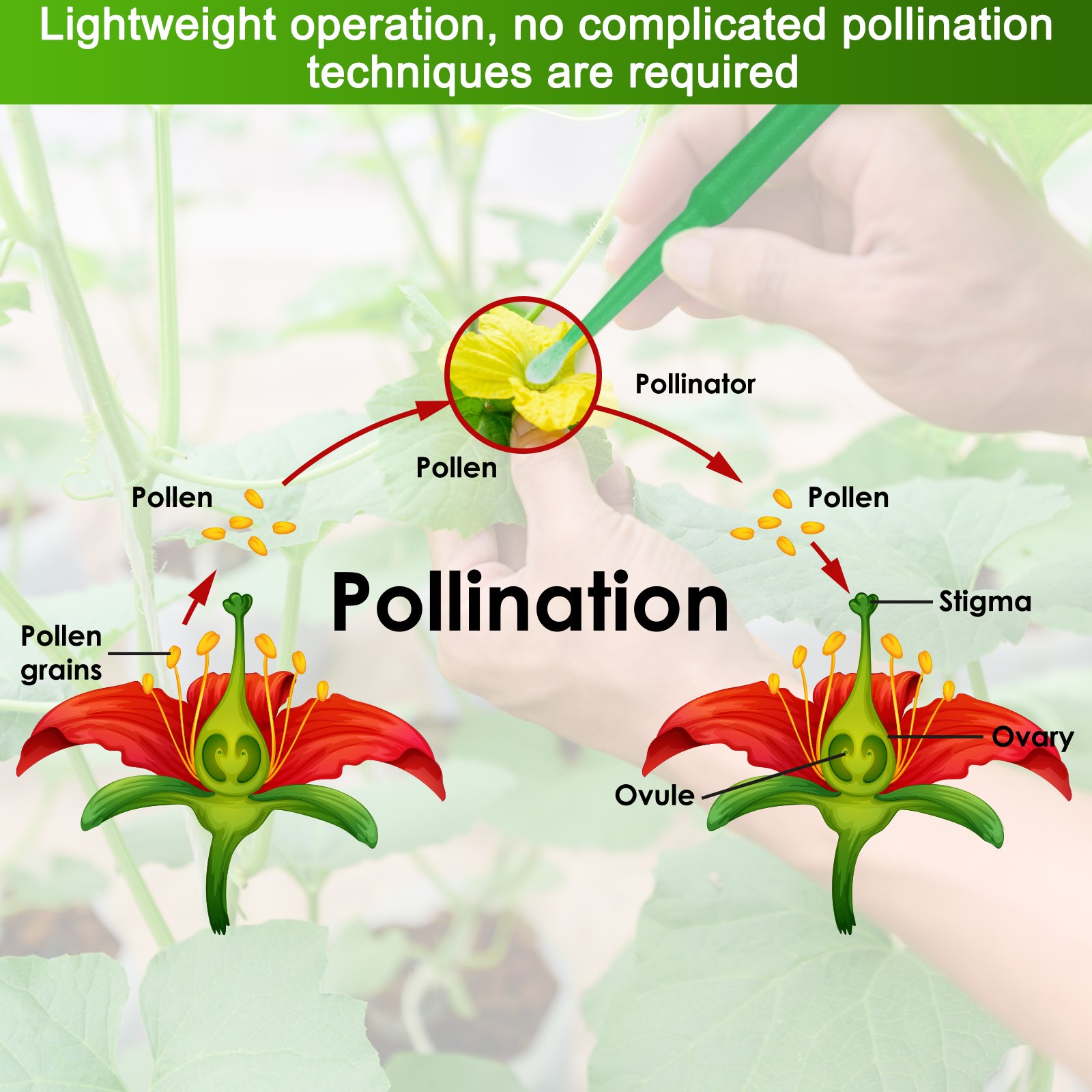100-Pack Pollinator Brush, 0.08″ Plastic Vegetable Pollinator Pen [Dark Green]