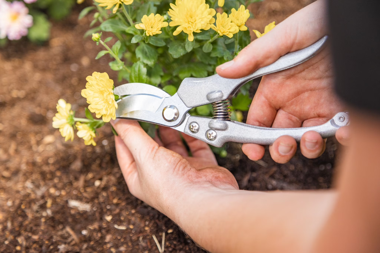 Better Homes & Gardens, 9-Piece Stainless Steel Gardening Tool Set
