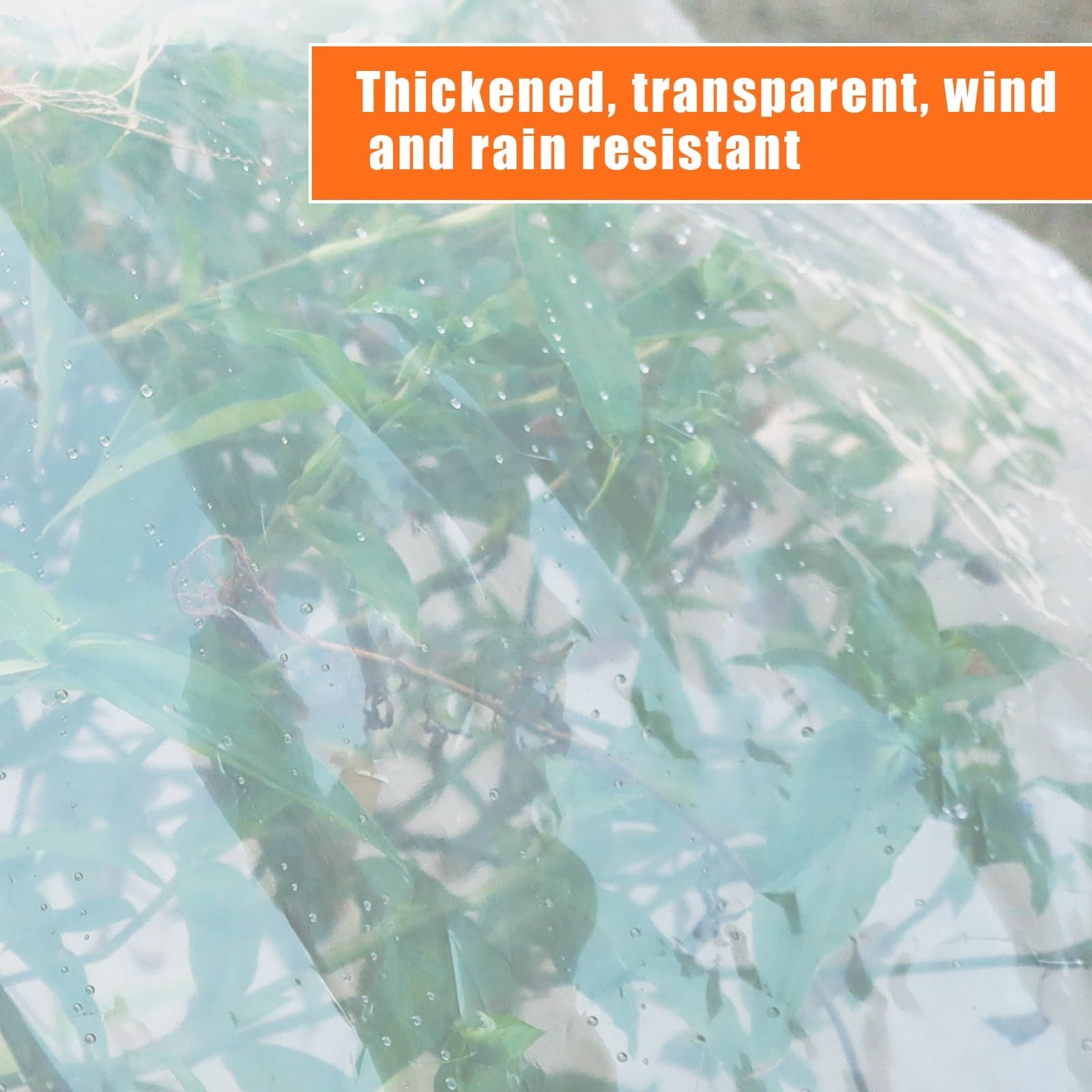 ZYP 2PCS 8x10ft Heavy Duty Clear Waterproof Tarps Outdoor Garden Rainproof Co…