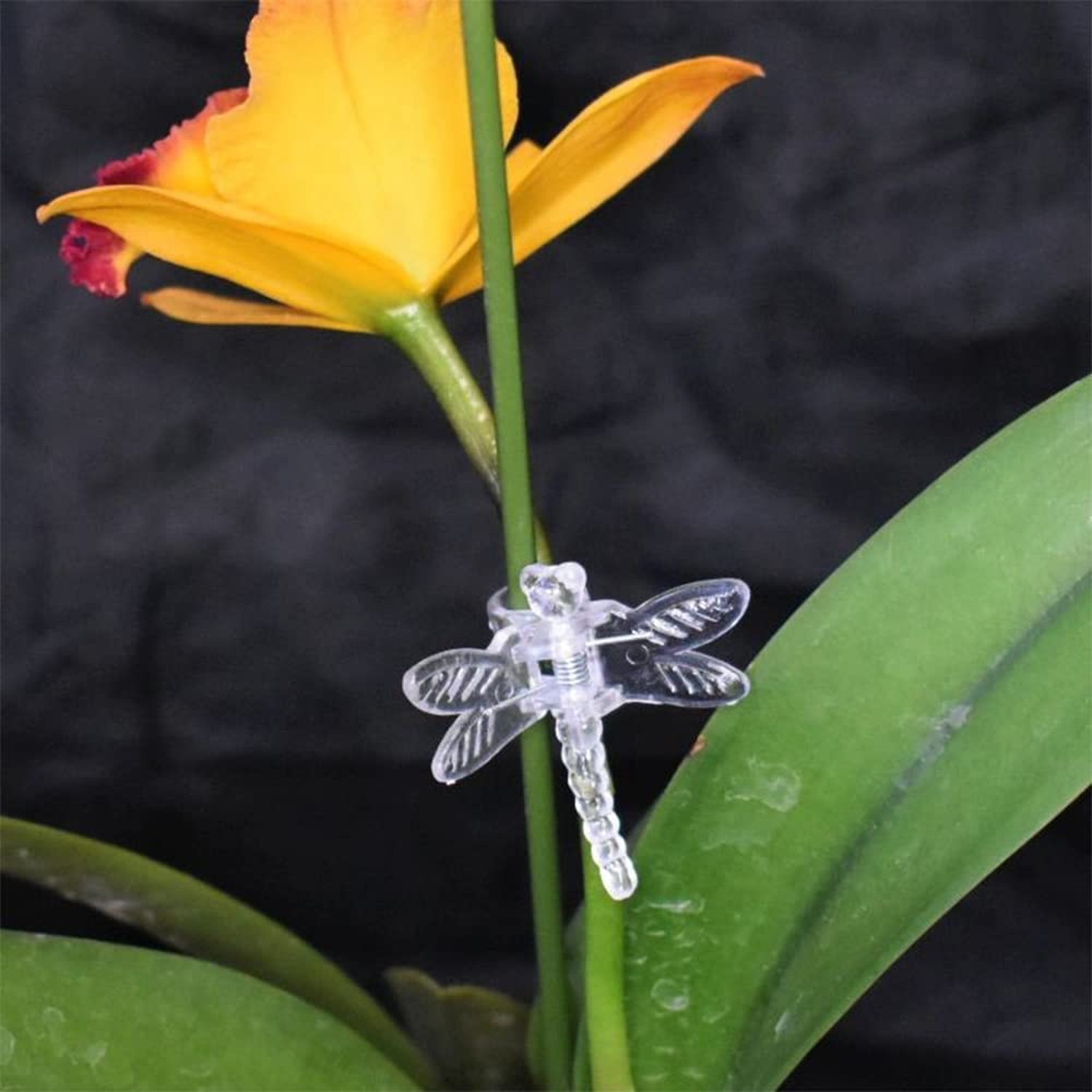 Watris Veiyi 100Pcs Plant Orchid Support, Garden Dragonfly Orchid Clips, Port…