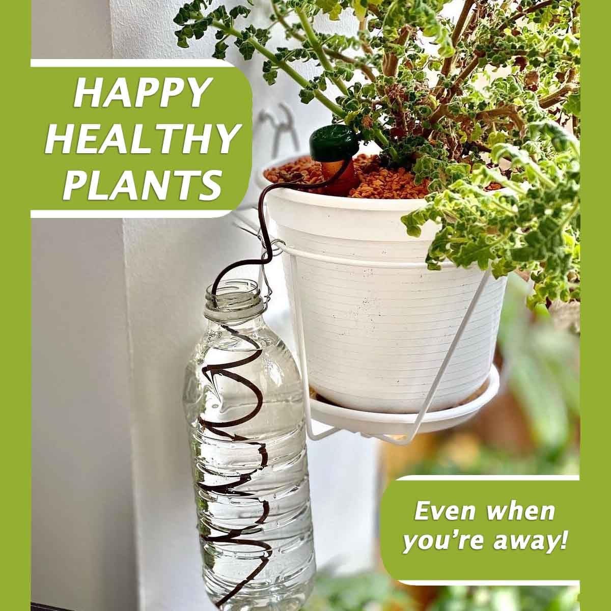 Blumat Classic Plant Watering Stakes (6 Pack)