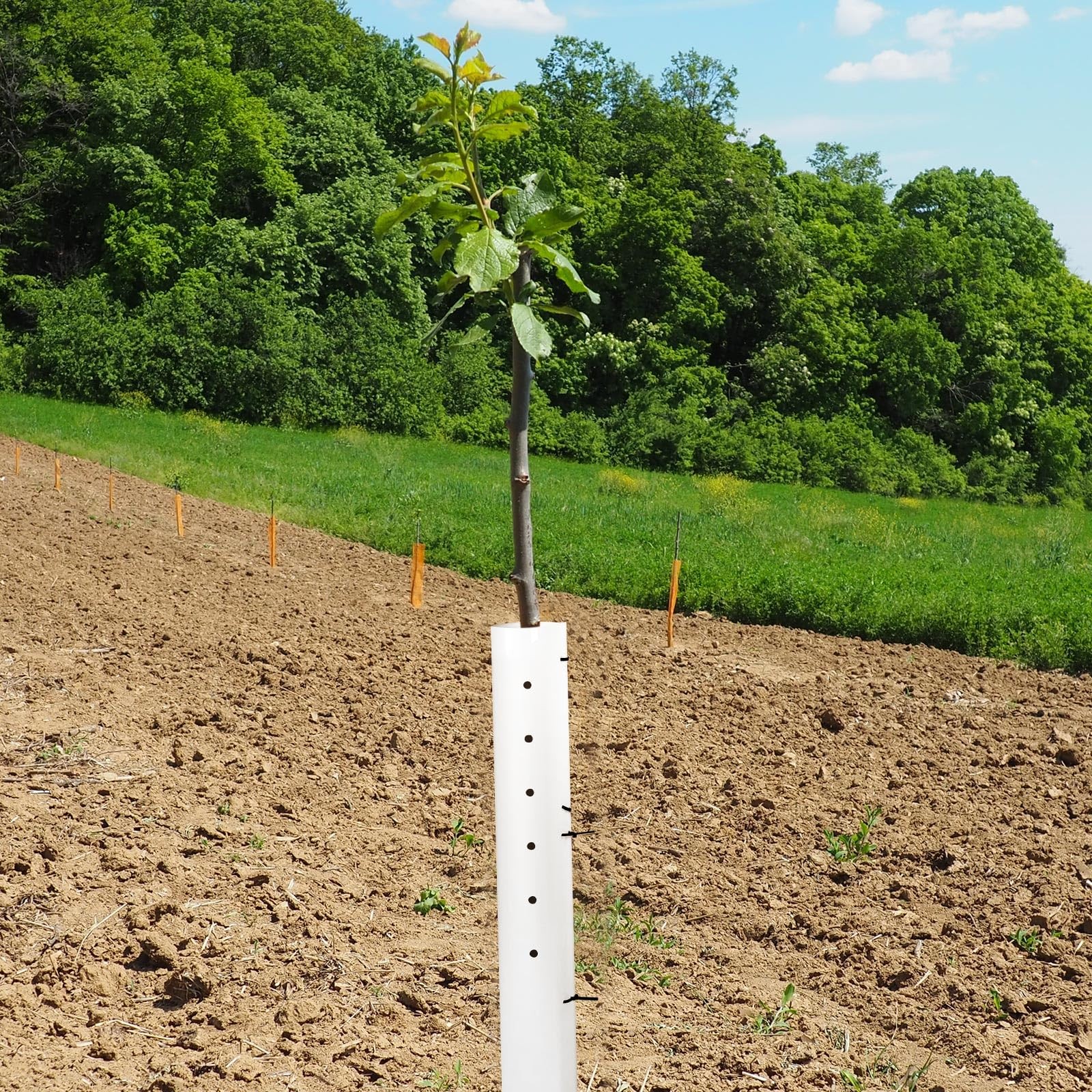Pushglossy 5 Pack 36 Inch Tree Seedling Sapling Grow Tube Standard Vented