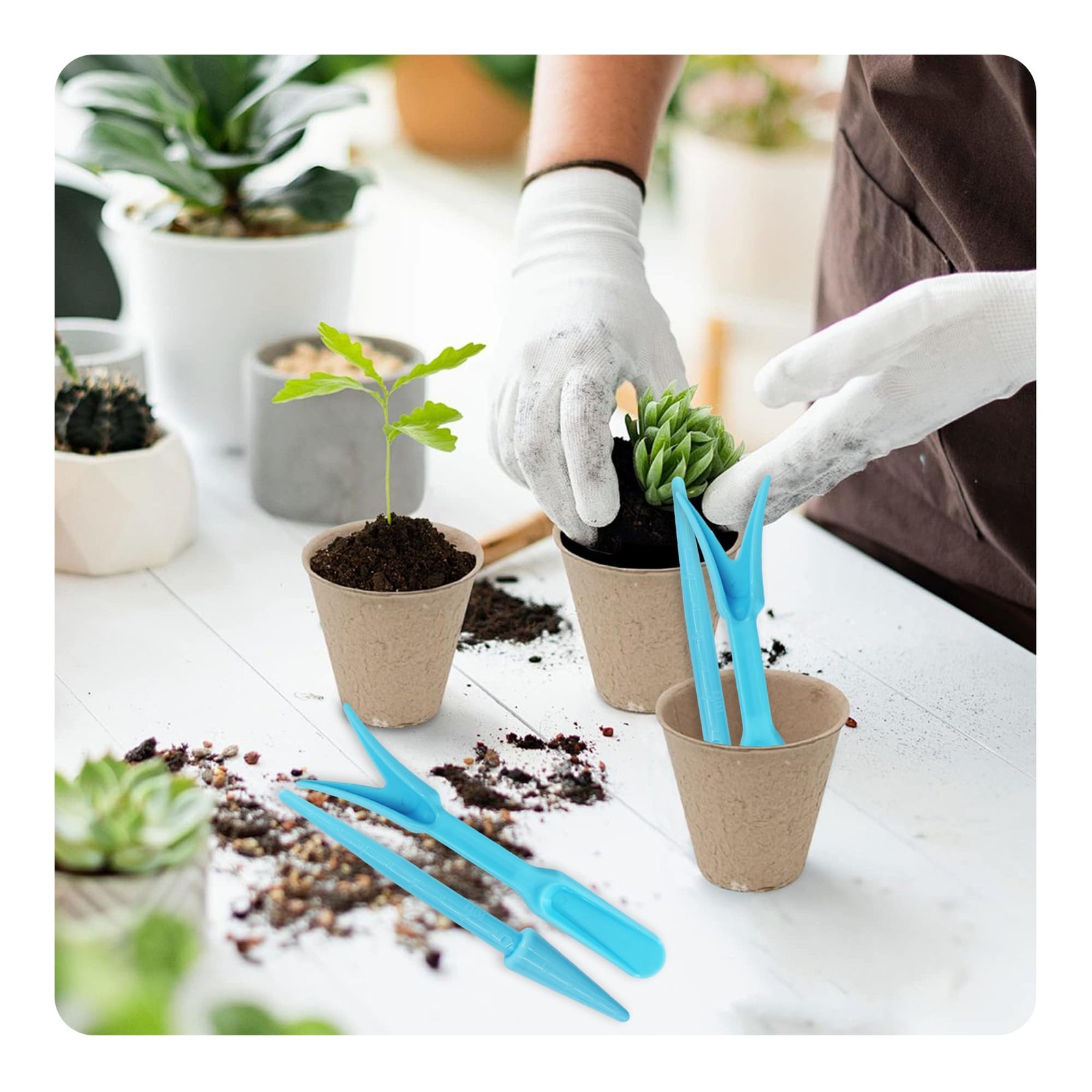 bociloy 6PCS Mini Garden Hand Succulent Transplanting Tools Set, Plastic Blue