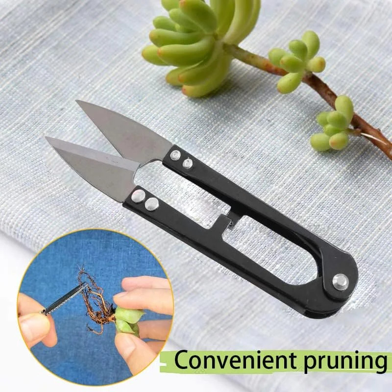 12 Pcs Succulent Tools Set Mini Transplanting Garden Tools Kit for Indoor Garden