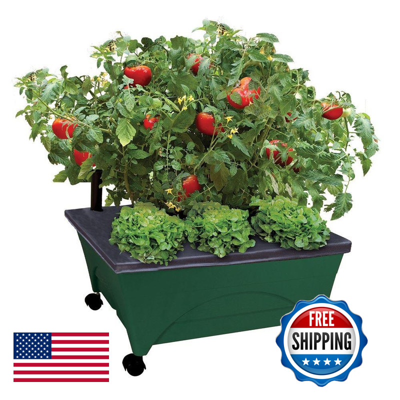 Emsco Group 2341-1Hd City Picker Raised Bed Self Watering And Improved Aeration