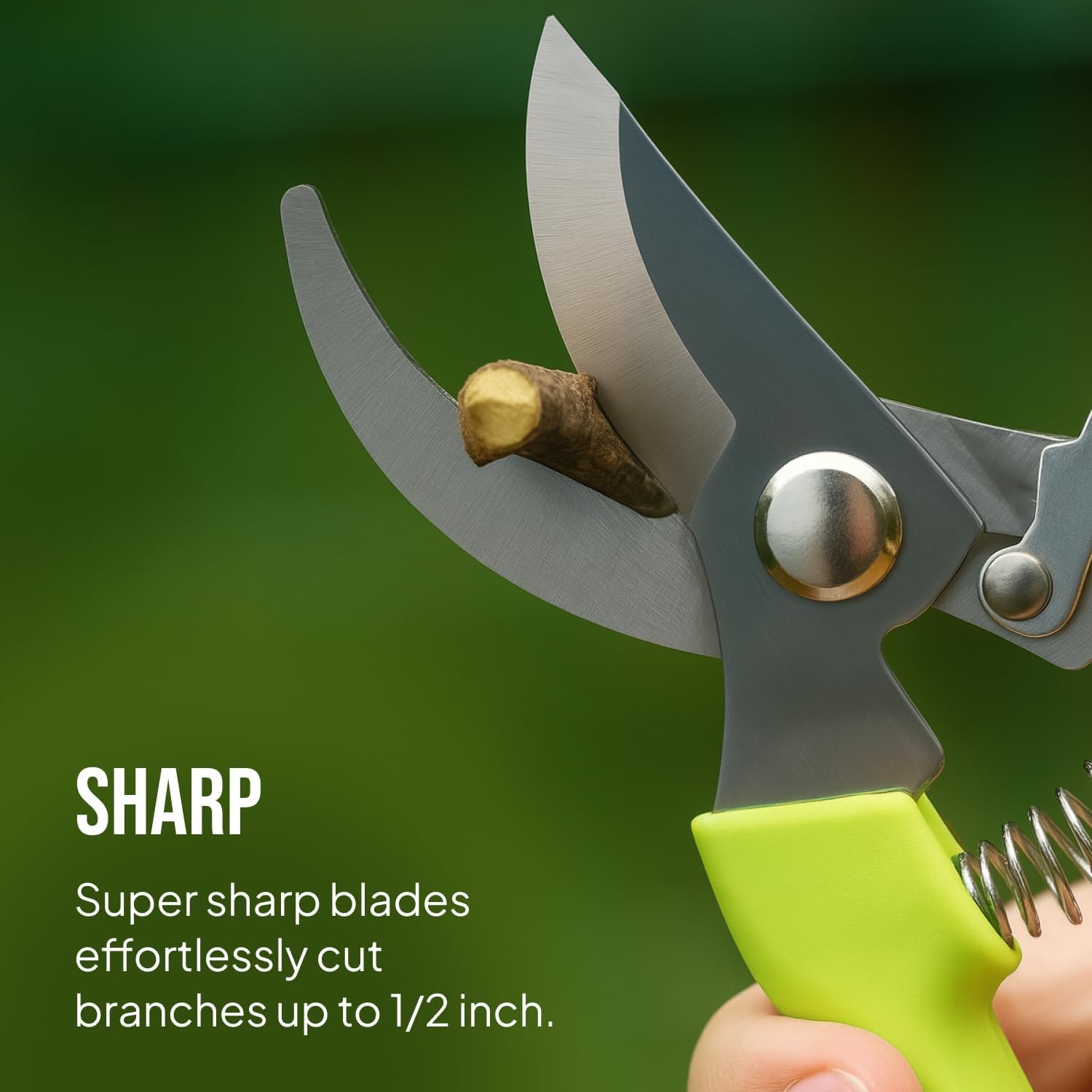 Stainless Steel Gardening Scissors, 2-Pack Pruning Tools