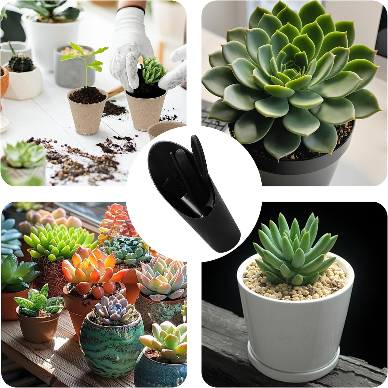 Mini Succulent Garden Tools Set Plastic 5Pcs Indoor Plant Transplanting Digging