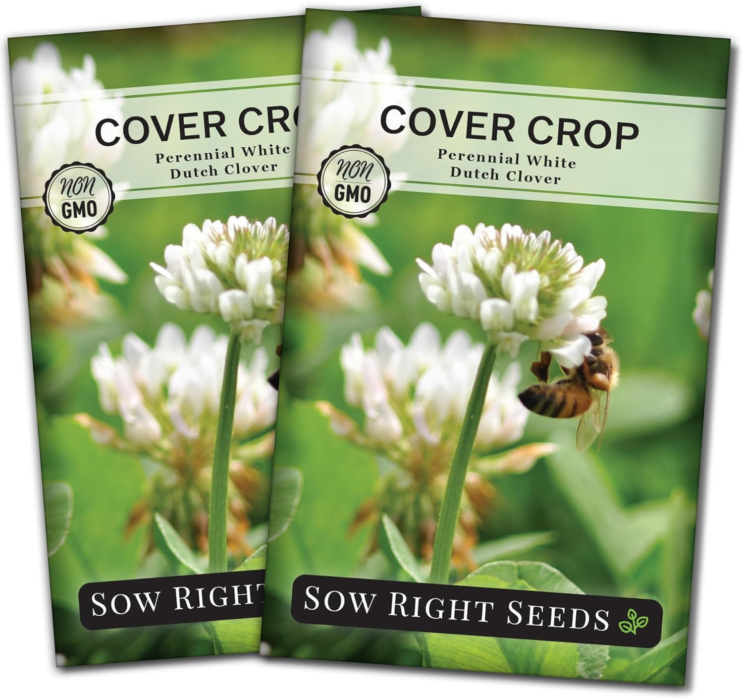 – White Dutch Clover Seed for Planting – Cover Crops to Plant in Your Home Garde