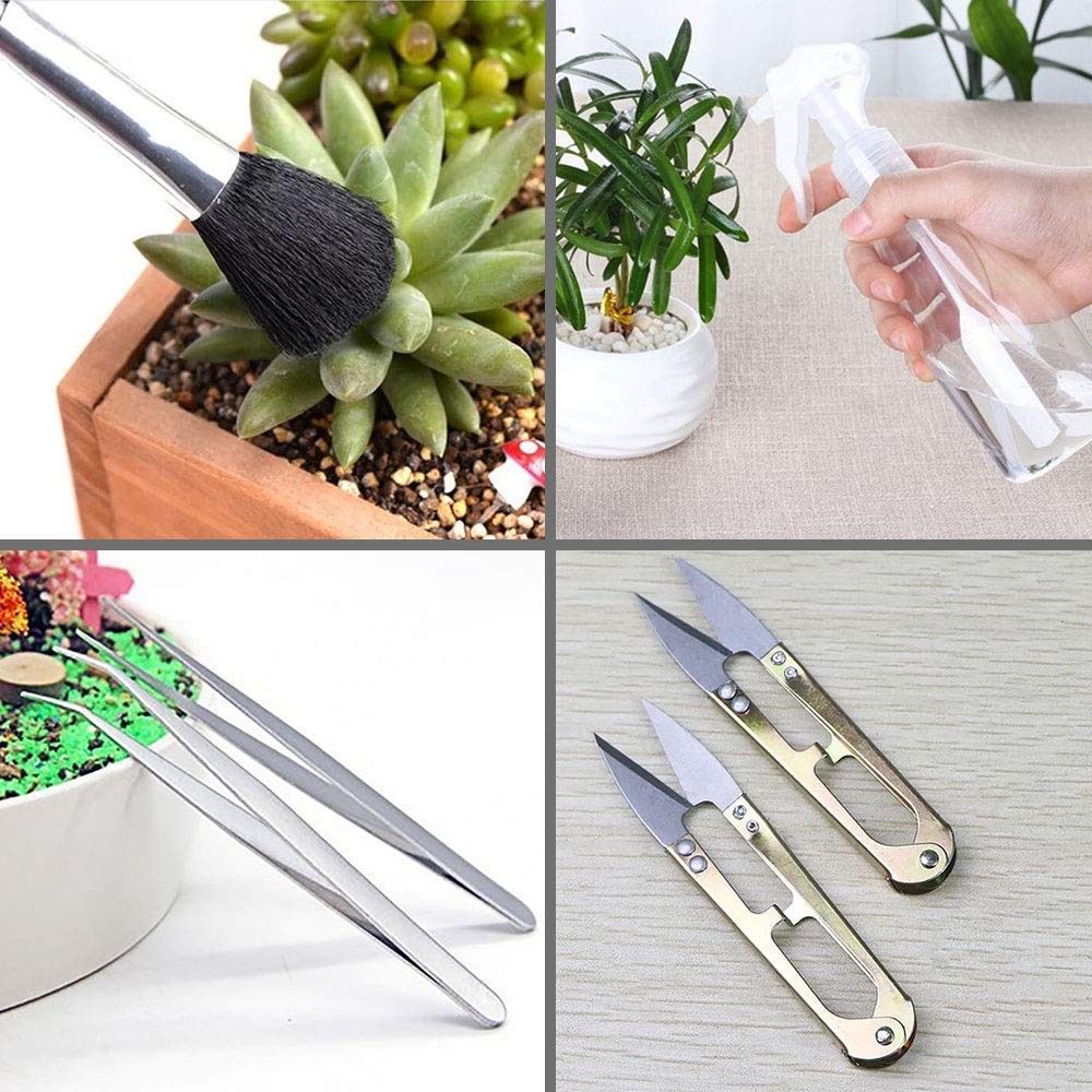 15~Piece Succulent Plant Tool Set for Mini Gardening and Plant Care