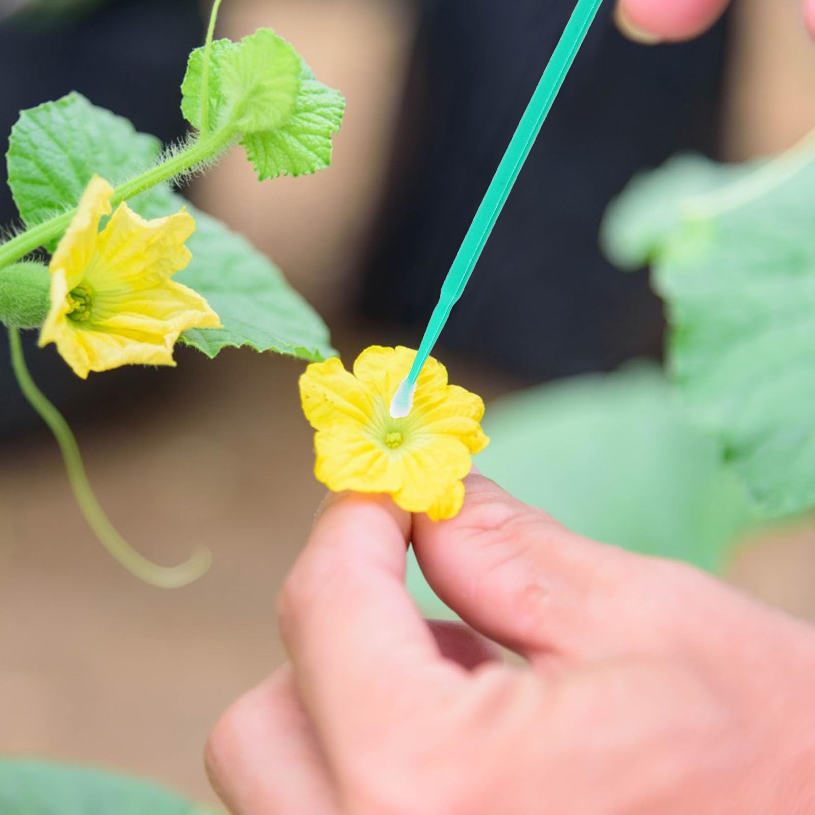 100pcs Plant Pollinator Pen Pollinator Tool Vegetable Pollinator Gardening Fl…