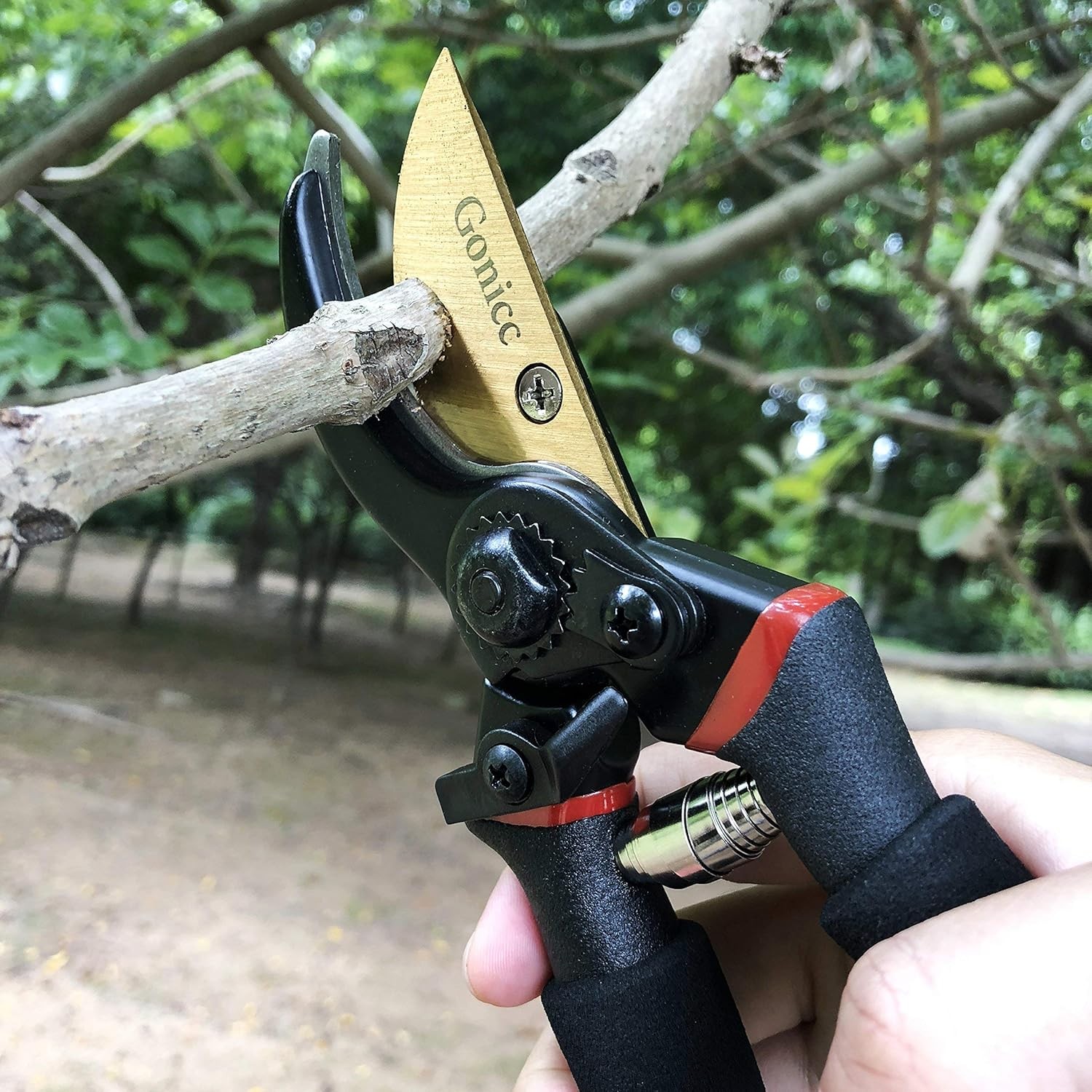 Professional Titanium Bypass Pruners, 8′ Garden Clippers for Precision Cutting