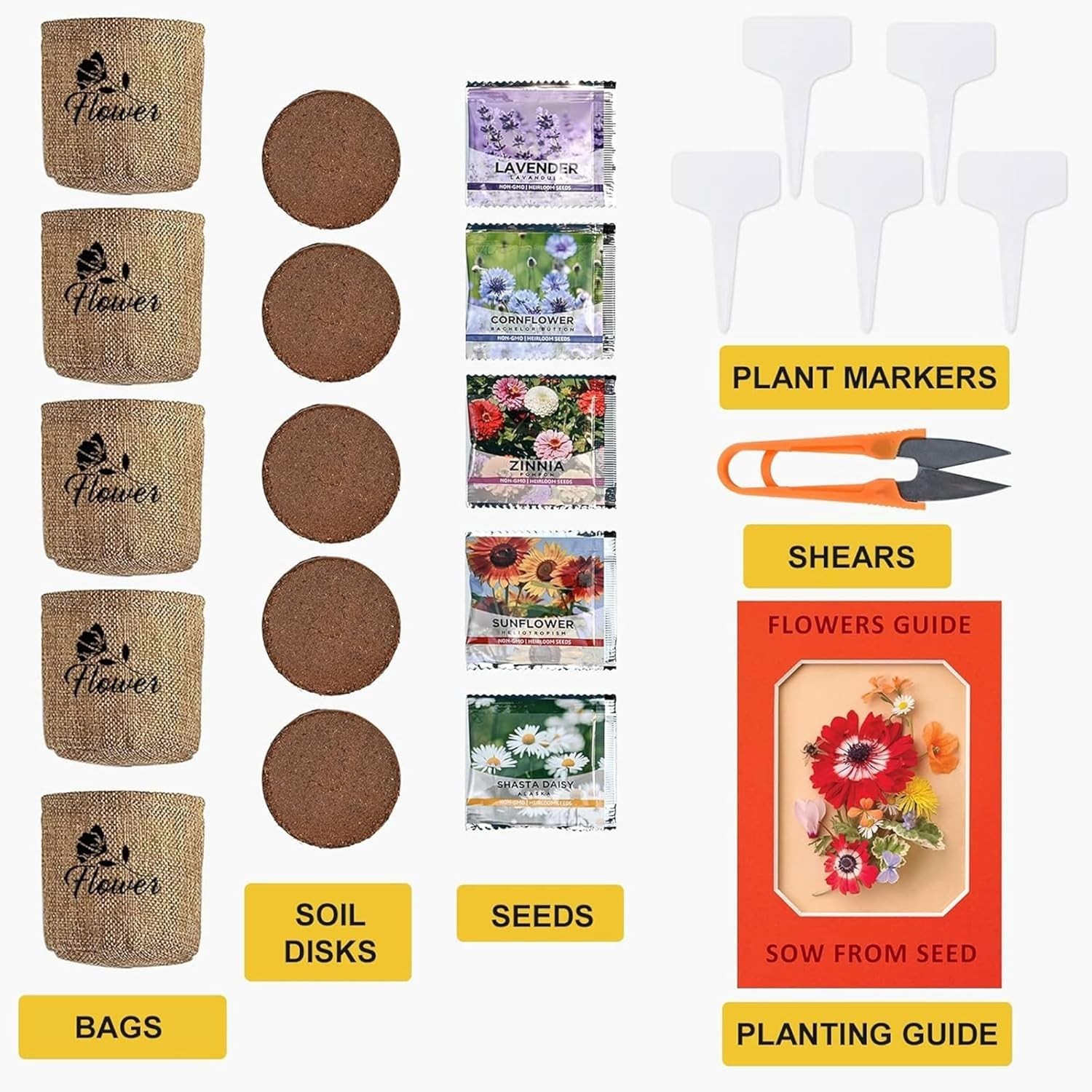 Indoor Daisy Garden Starter Kit for Home Gardening with Tools and Seeds
