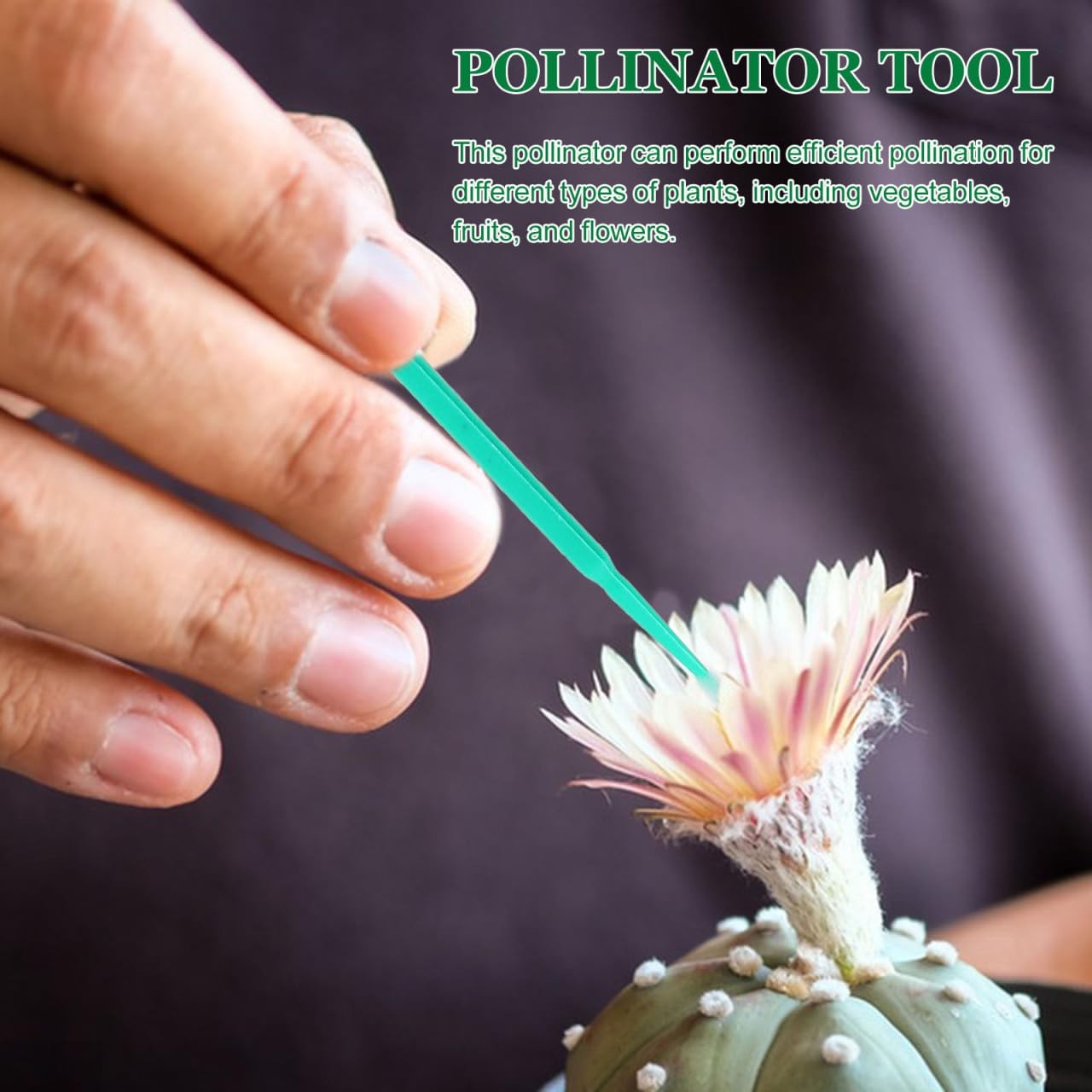 100pcs Plant Pollinator Pen Pollinator Tool Vegetable Pollinator Gardening Fl…