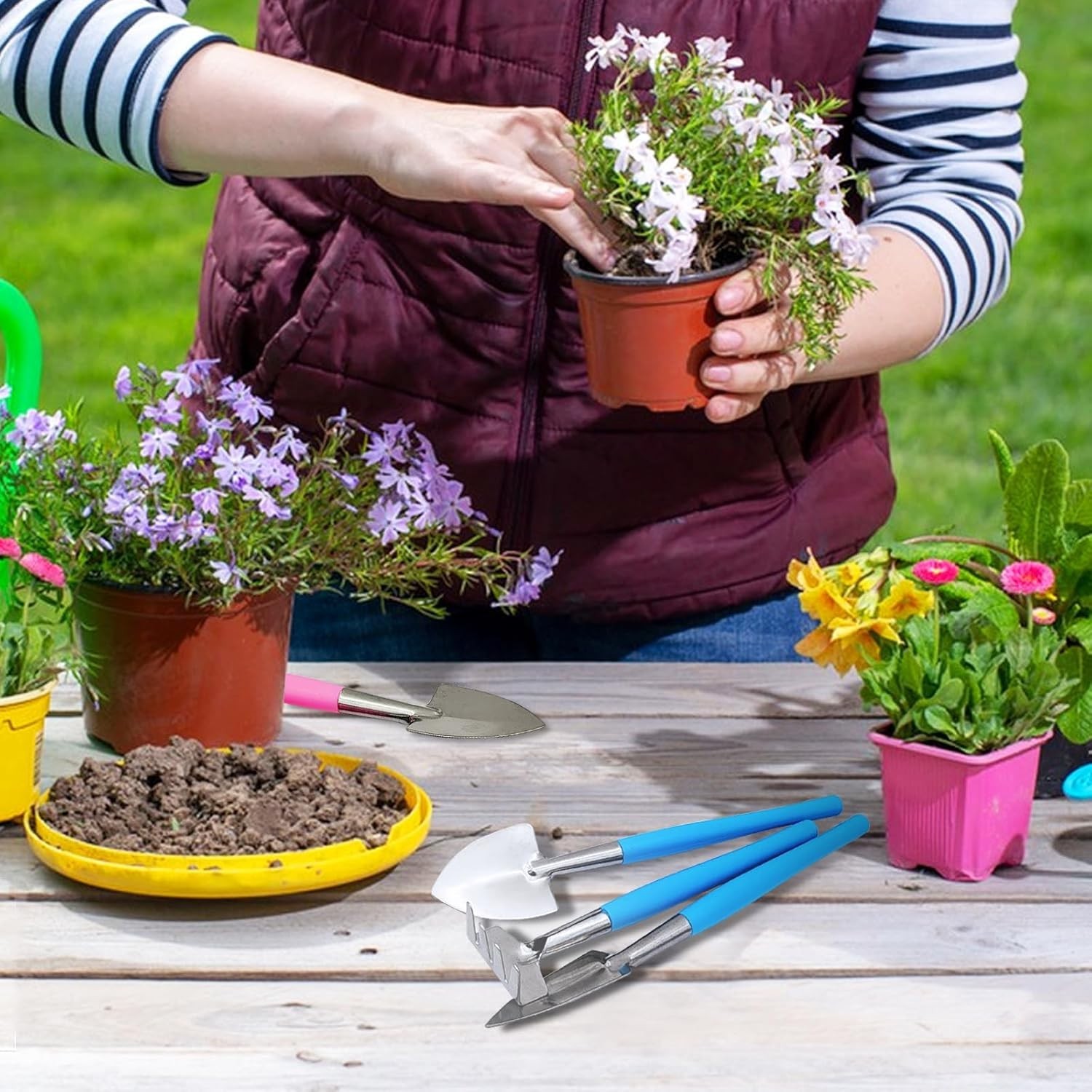 Mini Gardening Tools, 3Pcs Stainless Succulent Tools Kit Shovel Rake Trowel, …