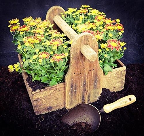 Forged Scoop Trowel – Heavy Duty Garden Tool with Extra Large Head Tempered