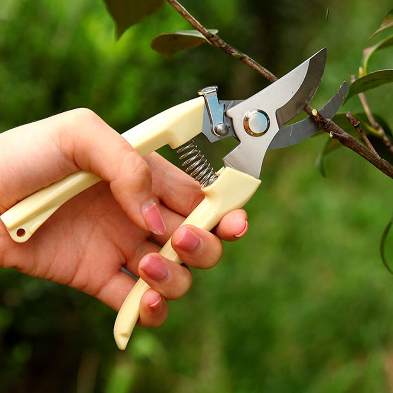 Garden Tool Set – Mini Hand Saw, Curved Blade Trimmer, Pruning Shears Set