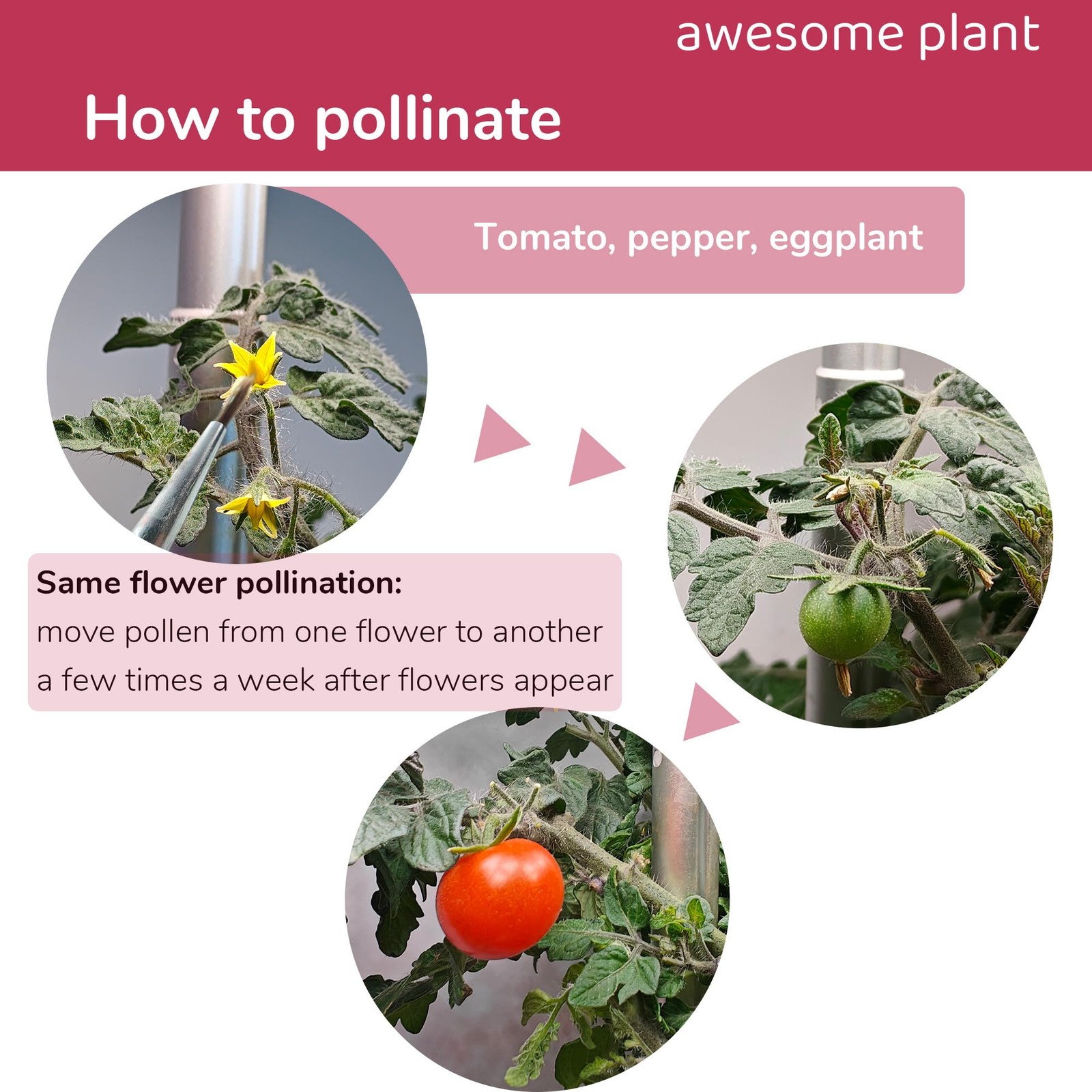 12 Pcs Pollination Brush for Indoor Hydroponic Gardens, Pollinator Tool for A…