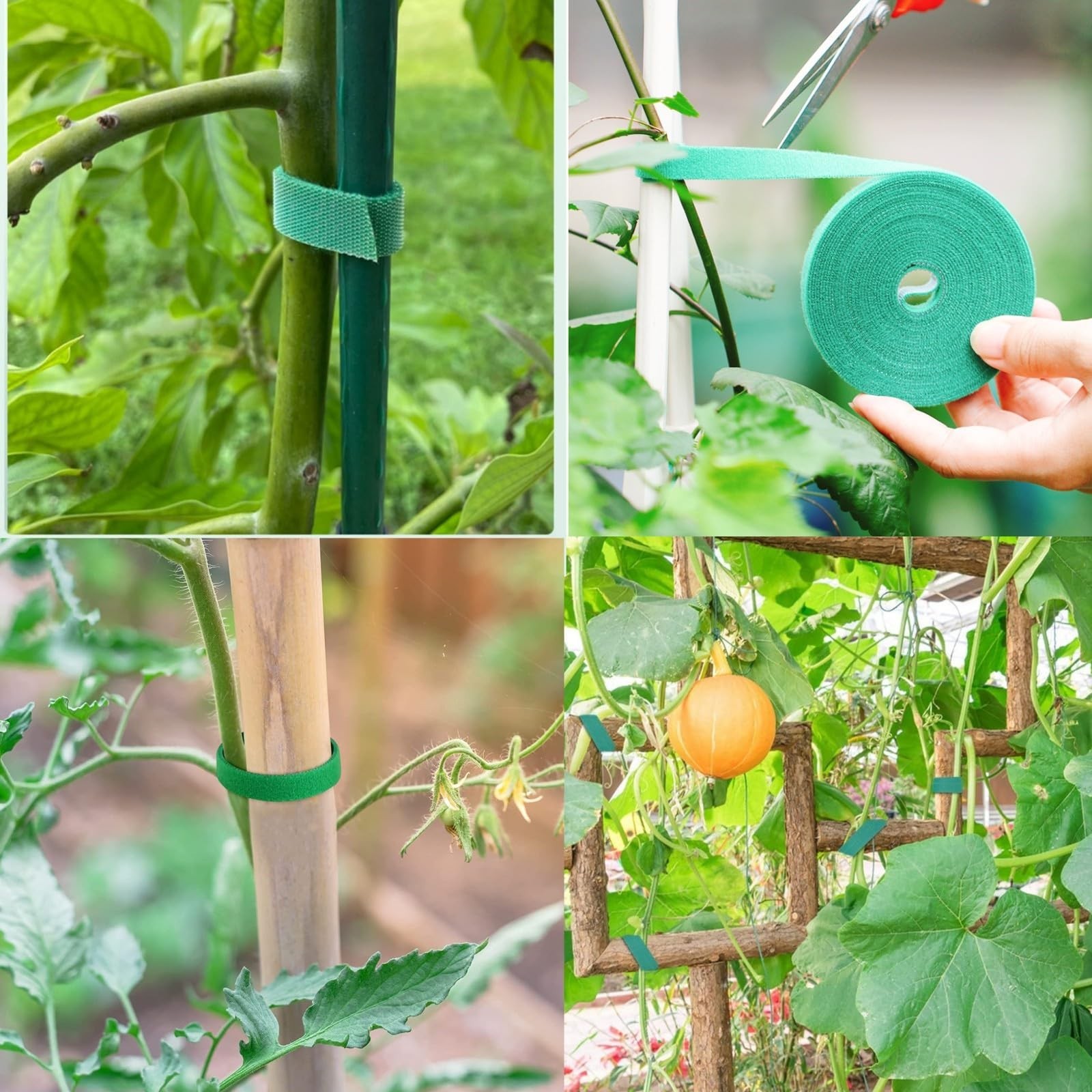 98.4 Feet Garden Tape Plant Ties Green Gardening Plant Tape Strap for Climbin…