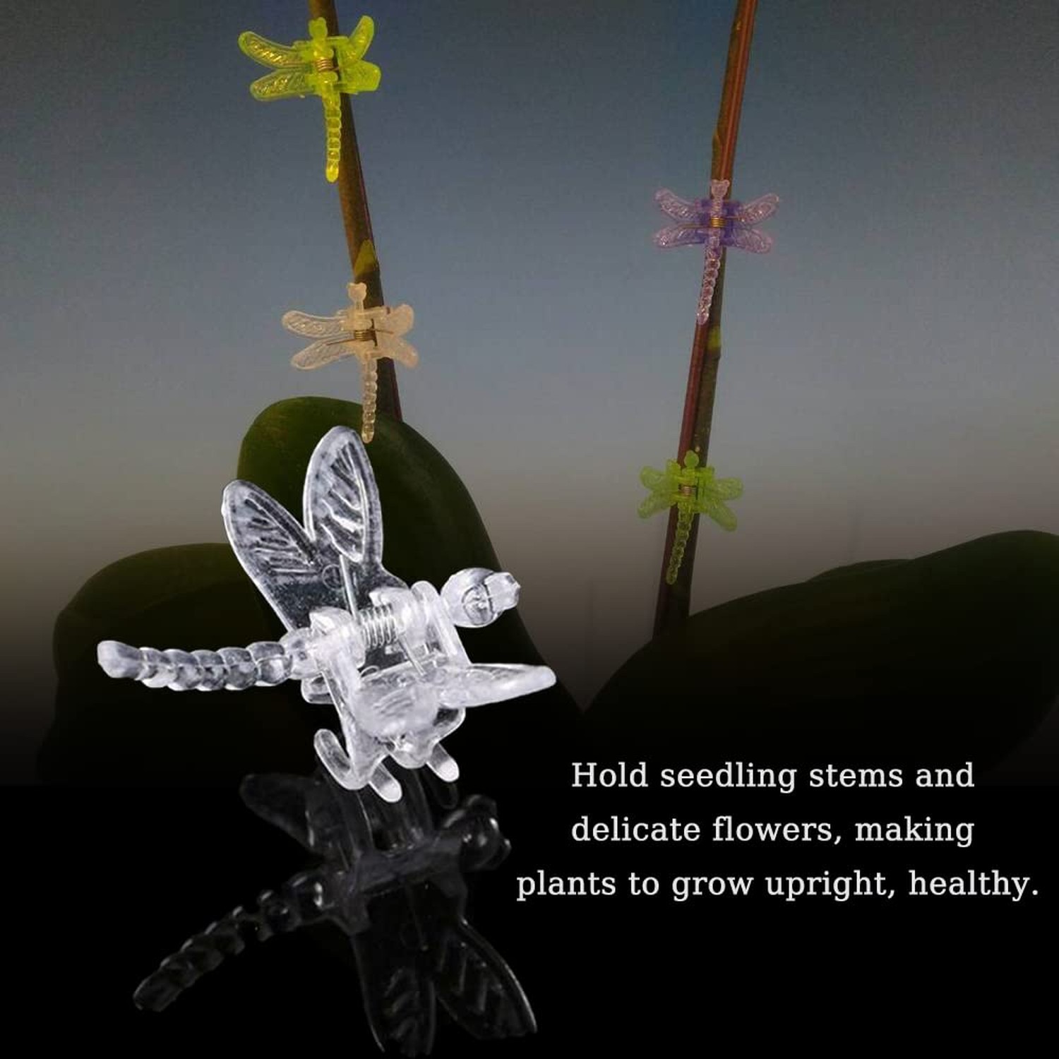 Watris Veiyi 100Pcs Plant Orchid Support, Garden Dragonfly Orchid Clips, Port…
