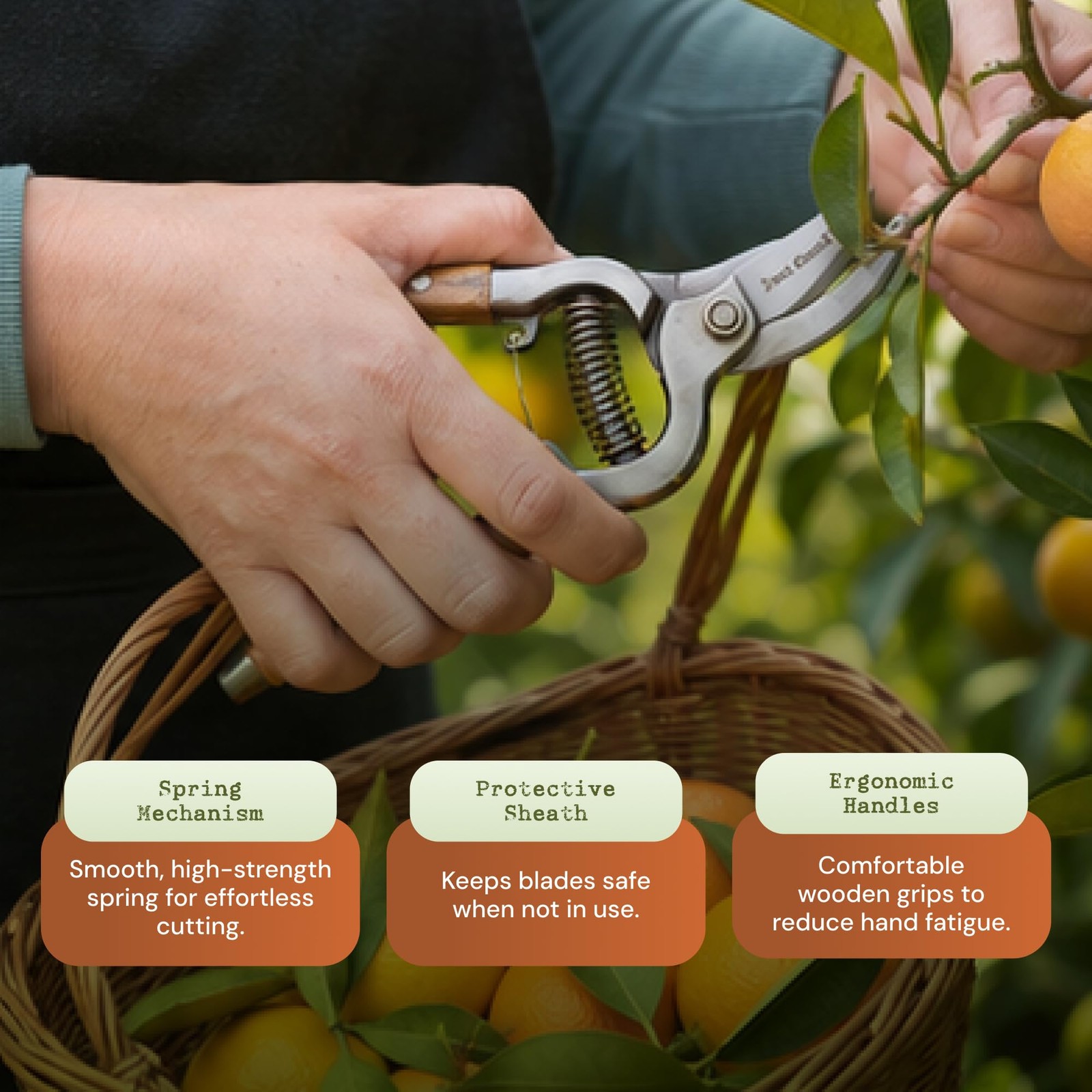 Garden Pruning Kit – Bypass Pruner and Precision Snips Set for Gardening, Pla…