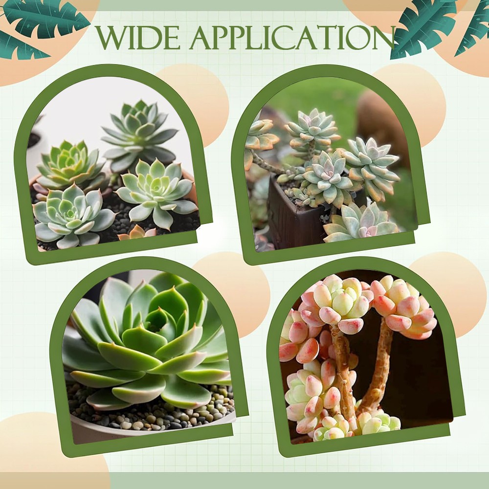 12 Pcs Succulent Tools Mini Transplanting Garden Tool Set Succulent Care kit Pla